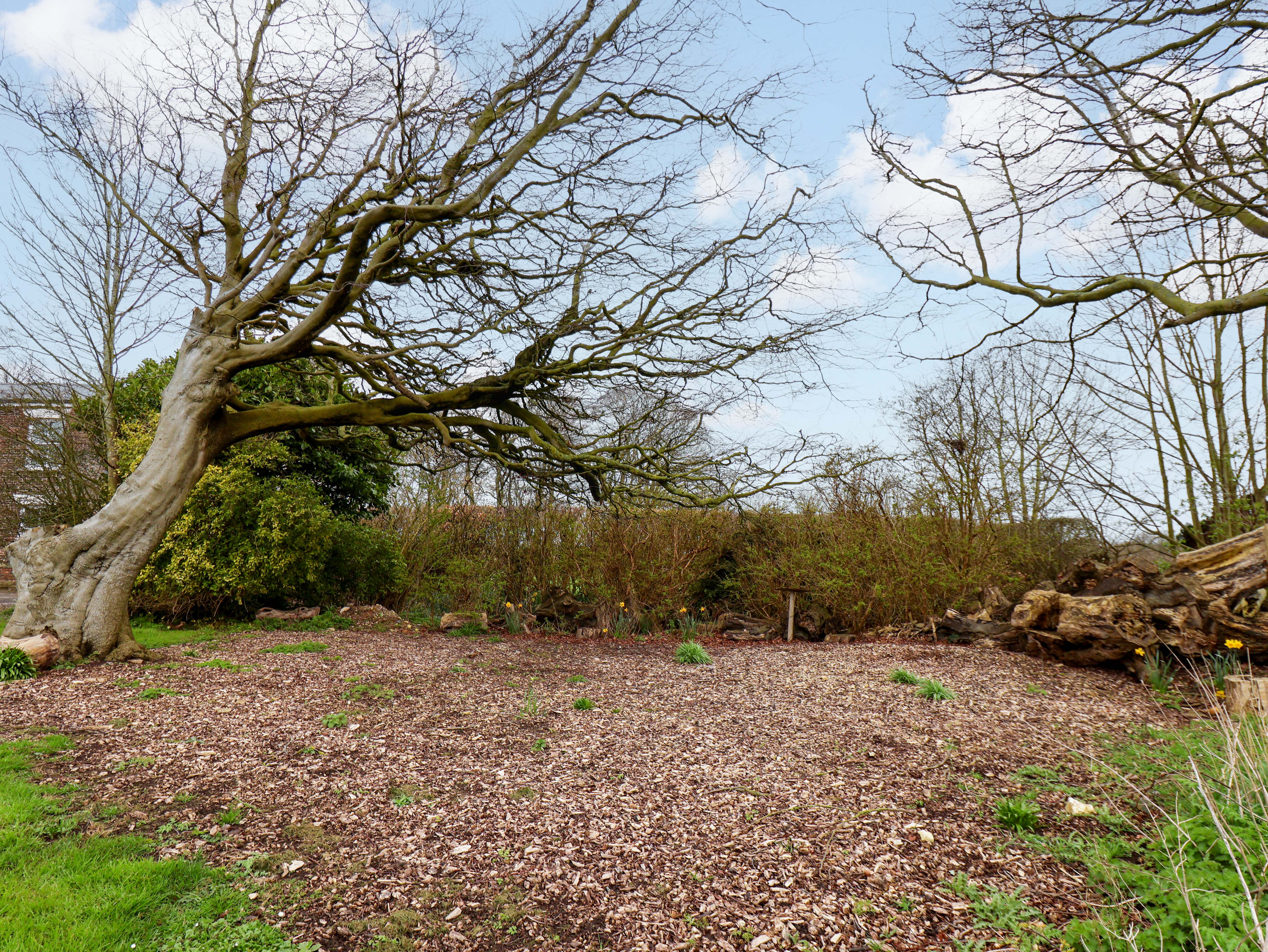 Property image 23 for SC1145153