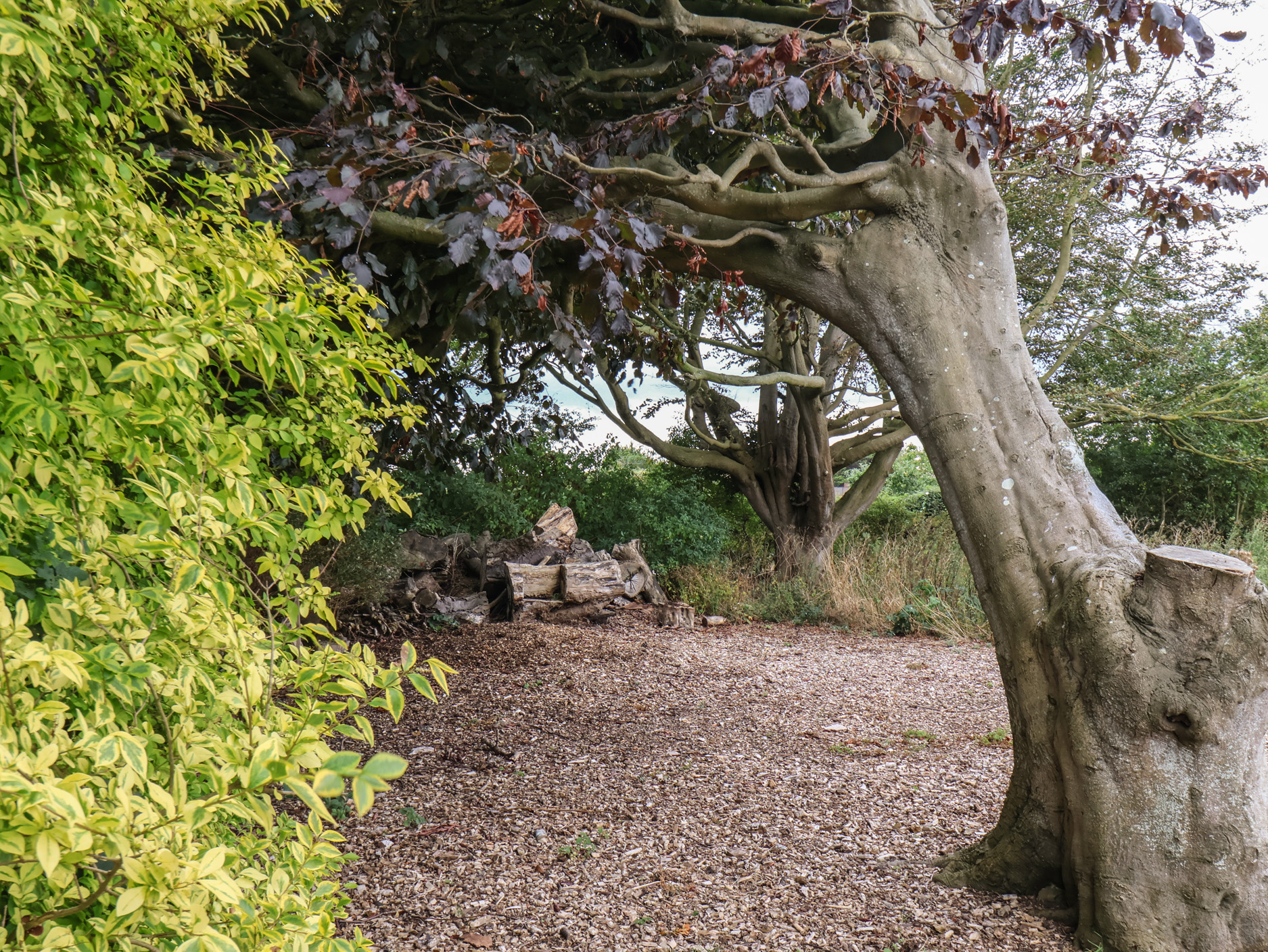 Property image 26 for SC1145154