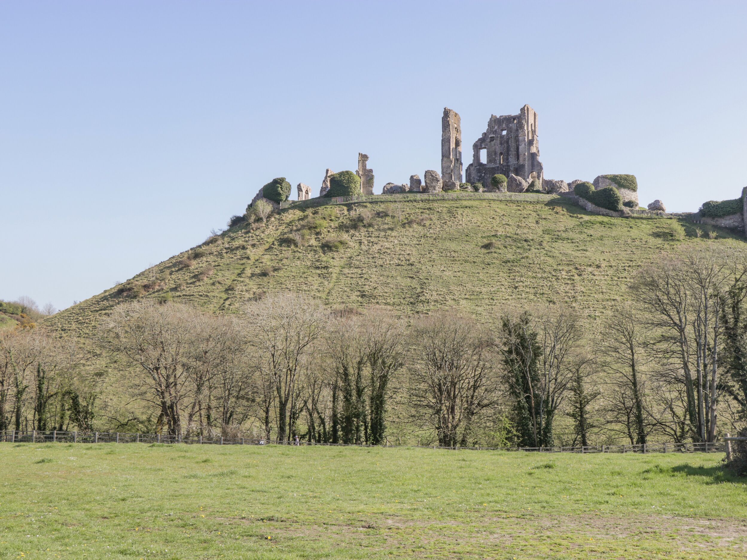 Property image 19 for SC1145236