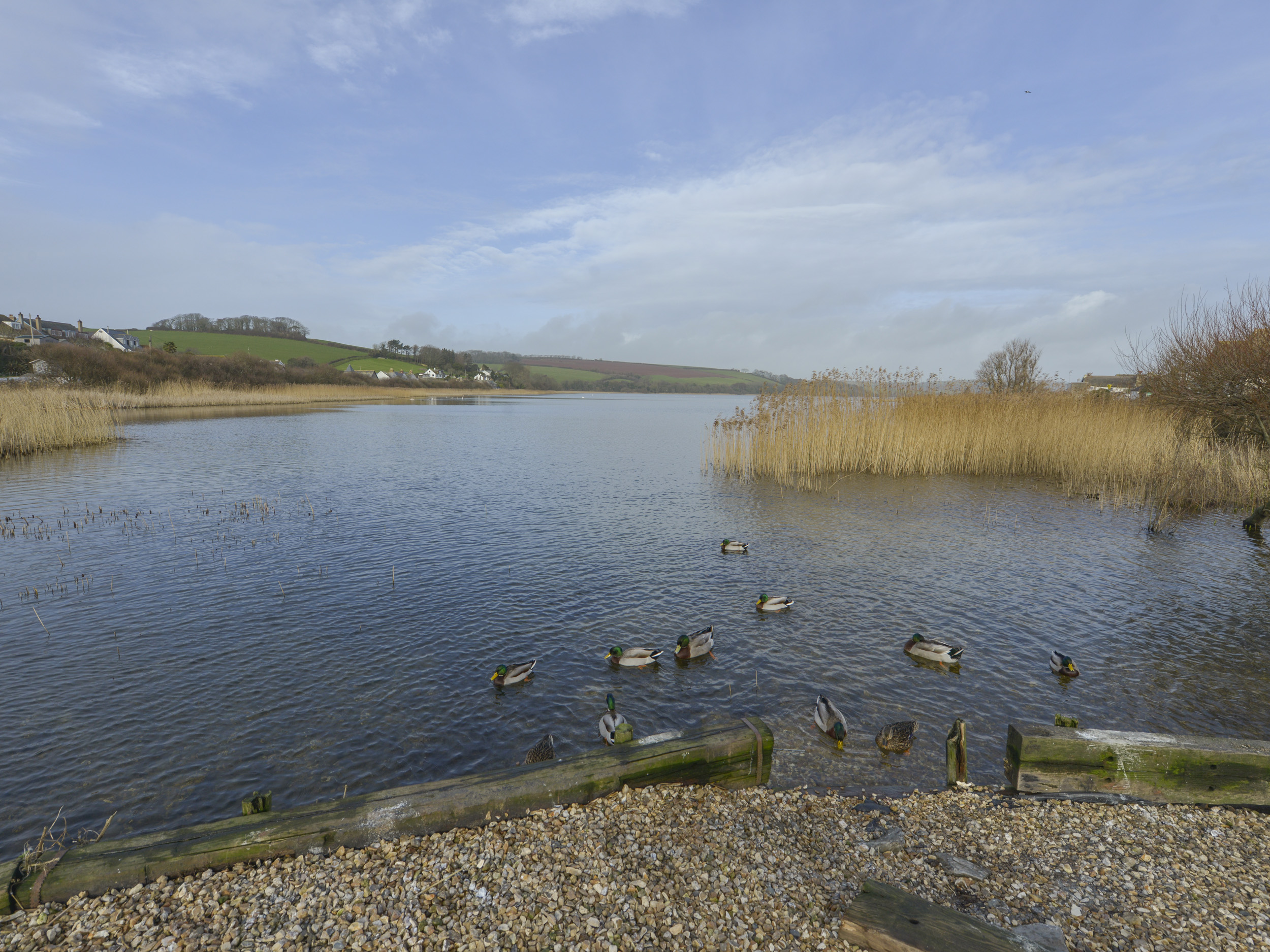 Property image 17 for SC1145724