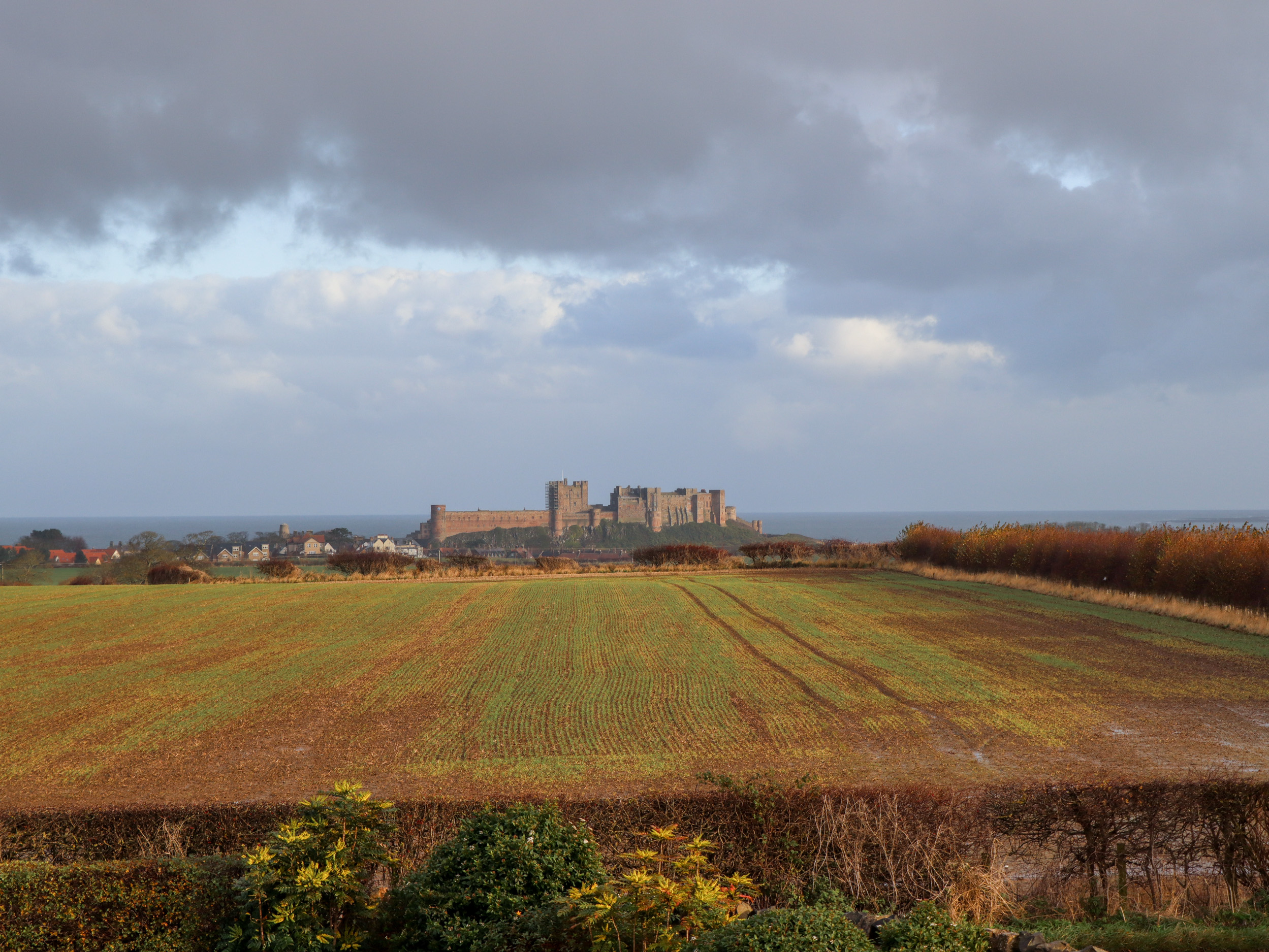 Property image 24 for SC1146225