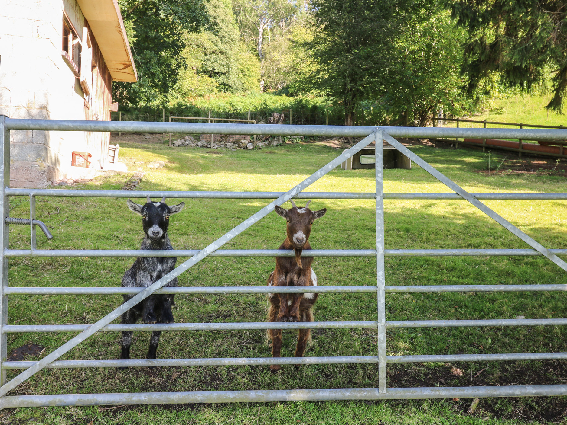 Property image 59 for SC1146526