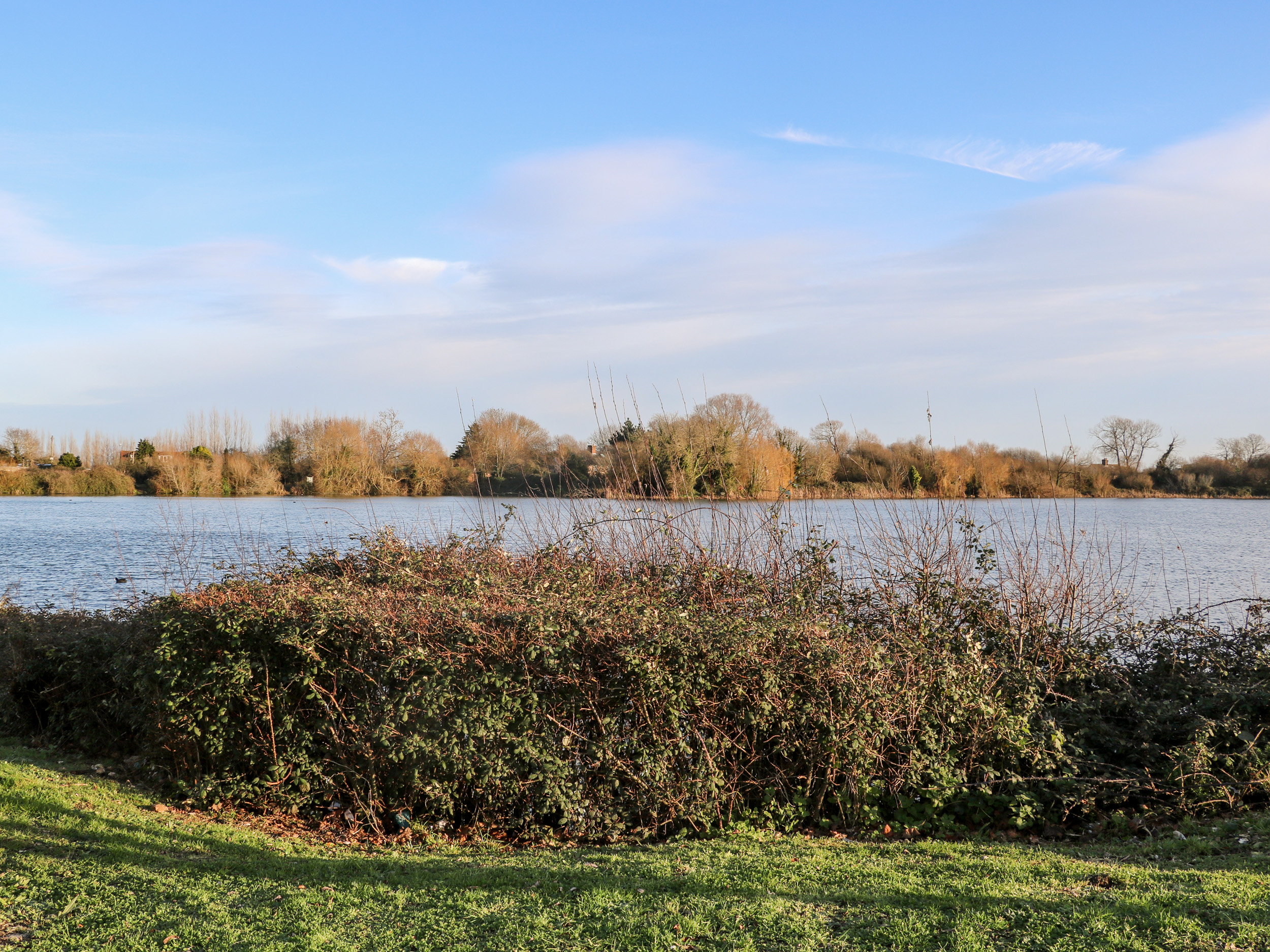 Property image 25 for SC1147596