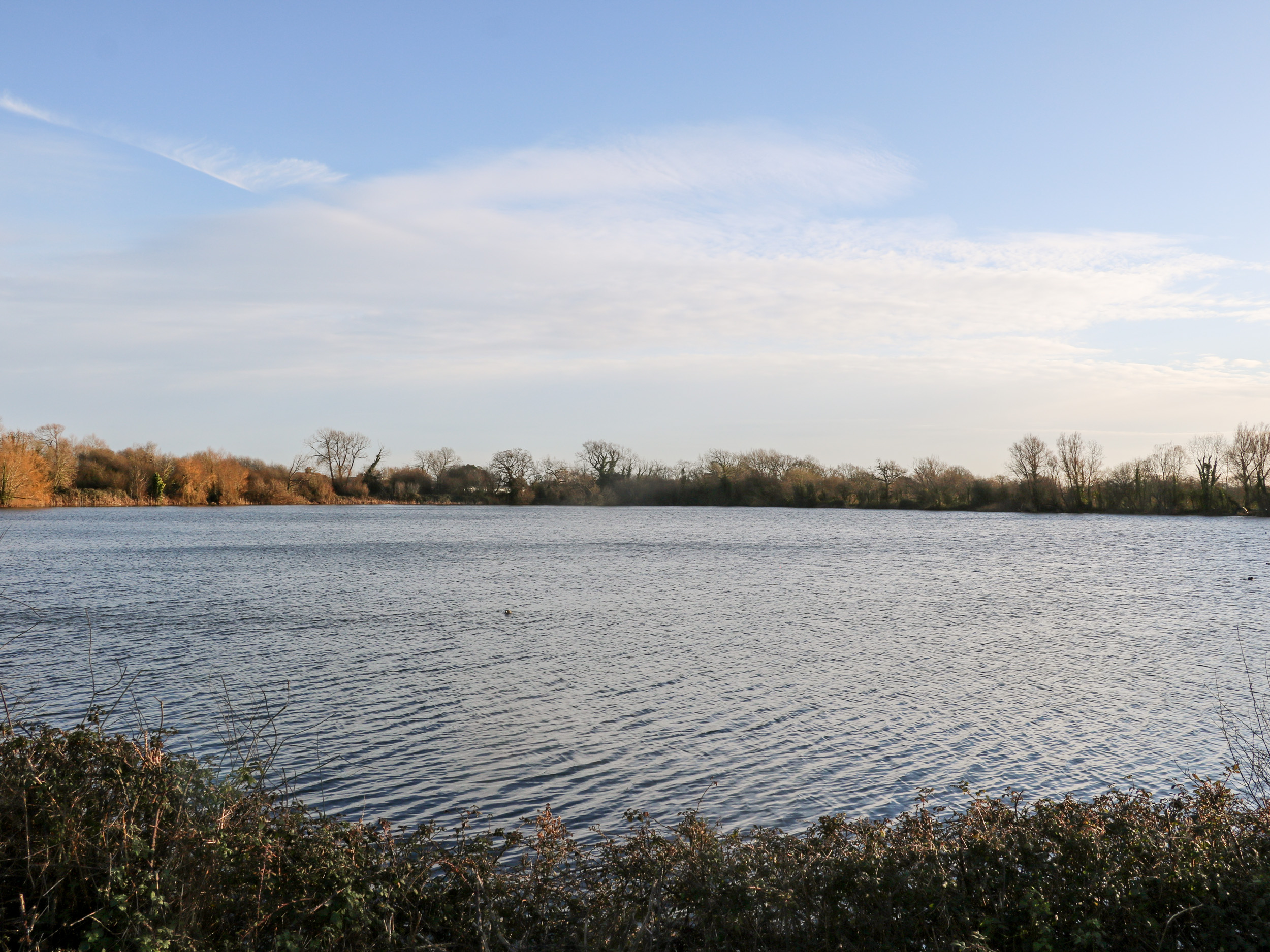 Property image 27 for SC1147596