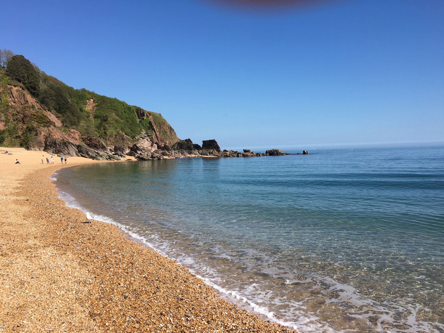 Property image 28 for SC1147794