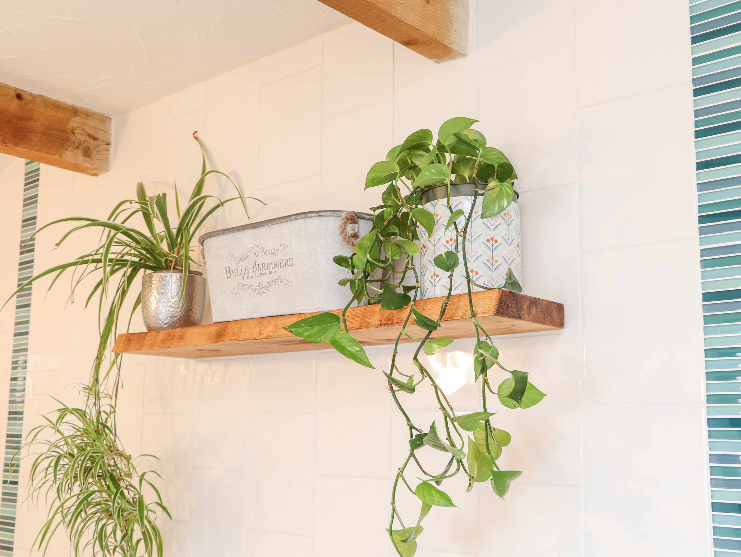 Property image 28 for SC1147892