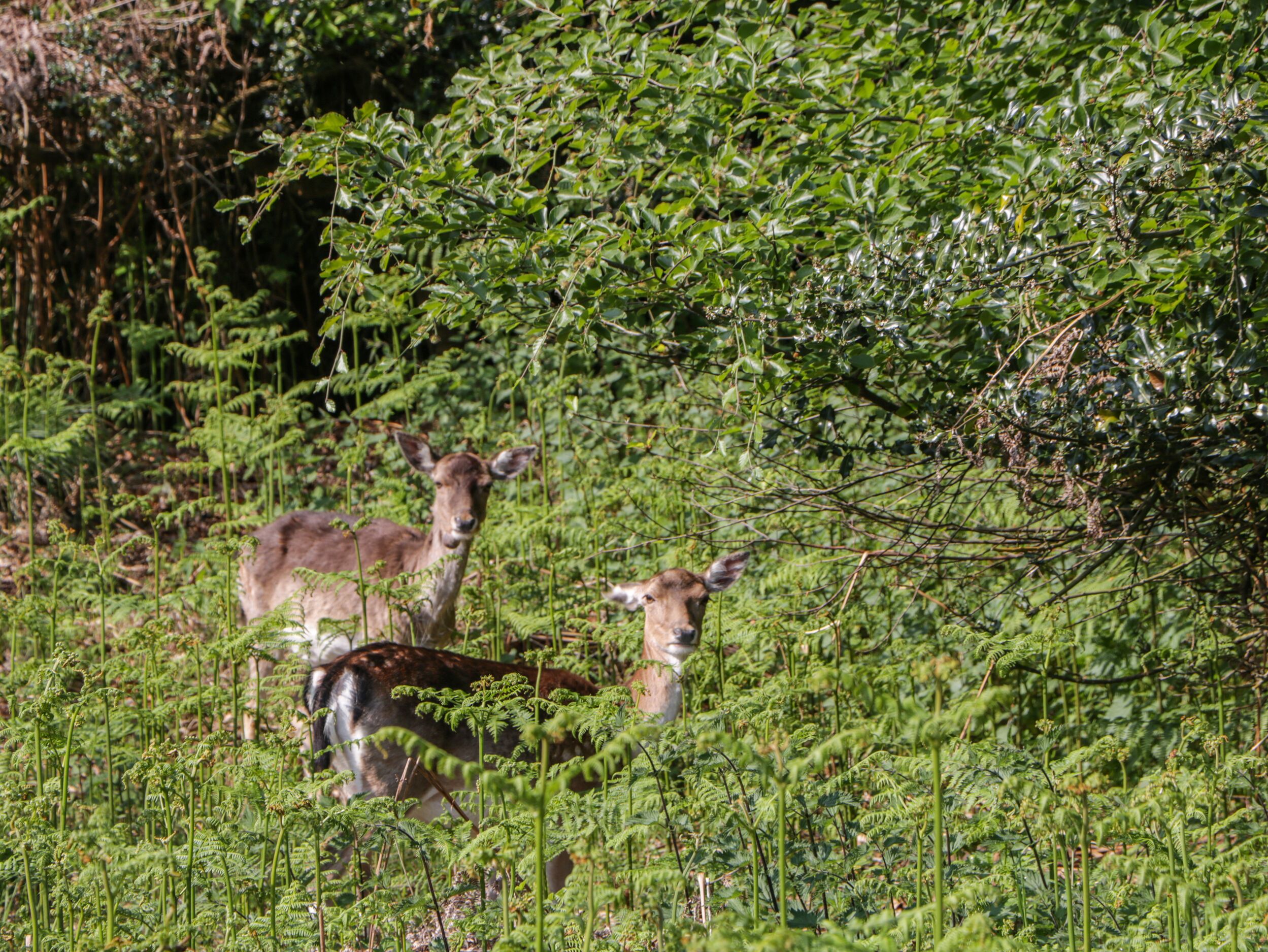 Property image 27 for SC1148090