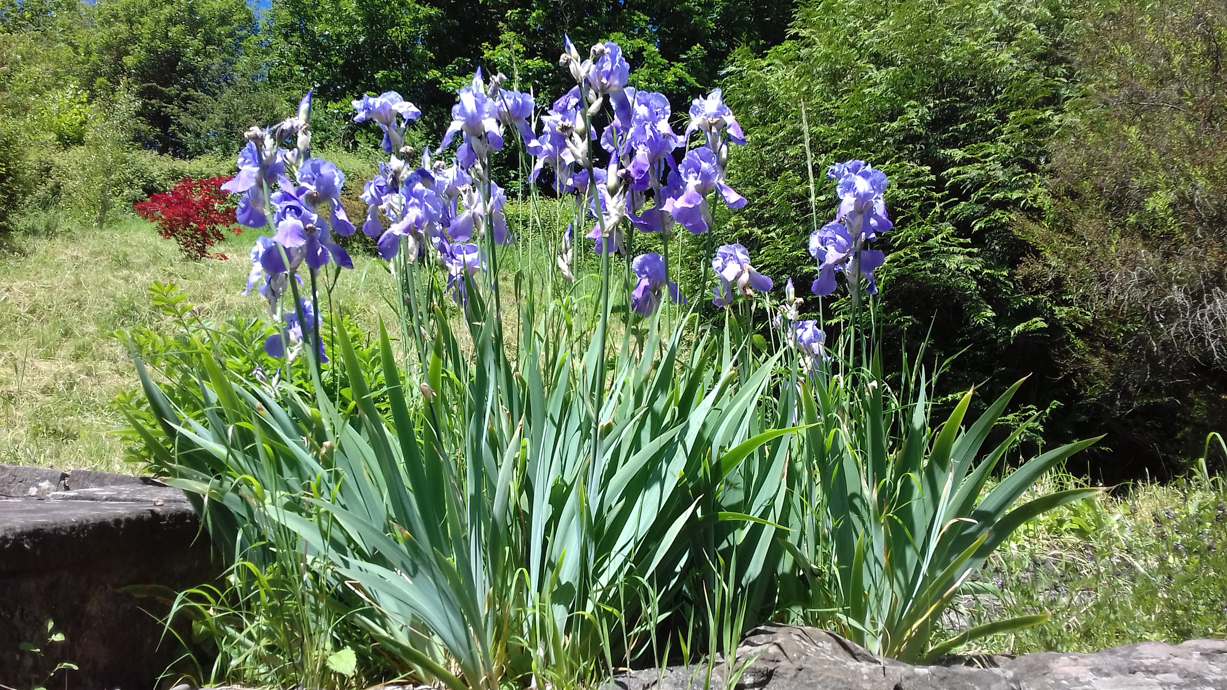 Property image 29 for SC1148090