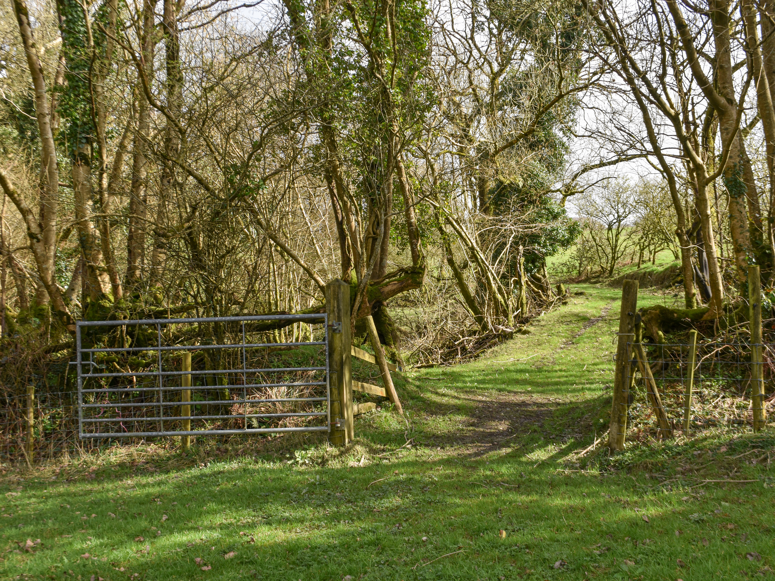 Property image 24 for SC1148174