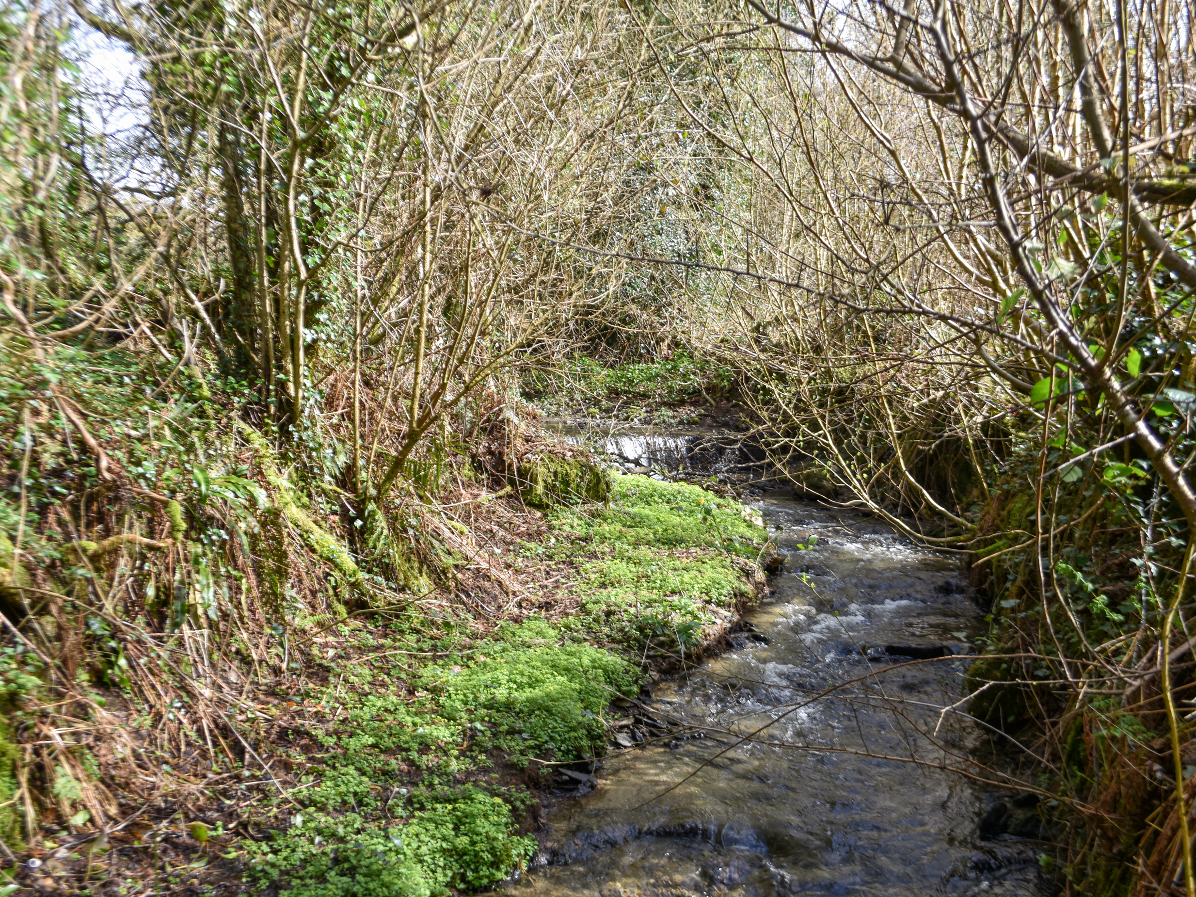 Property image 25 for SC1148174