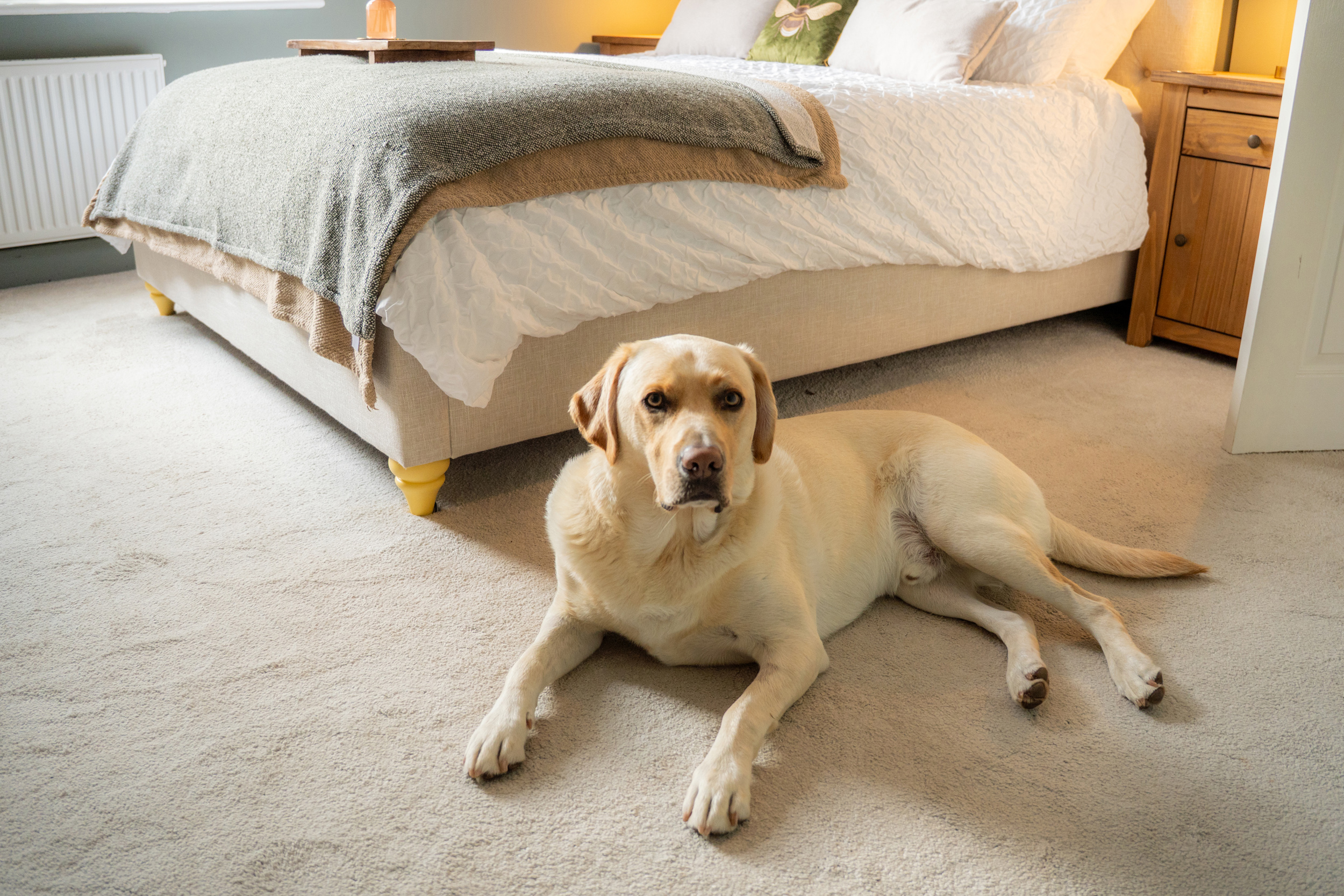 Property image 13 for SC1148315