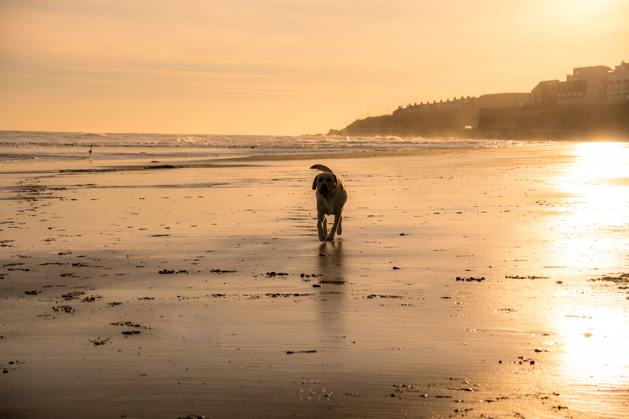 Property image 26 for SC1148315