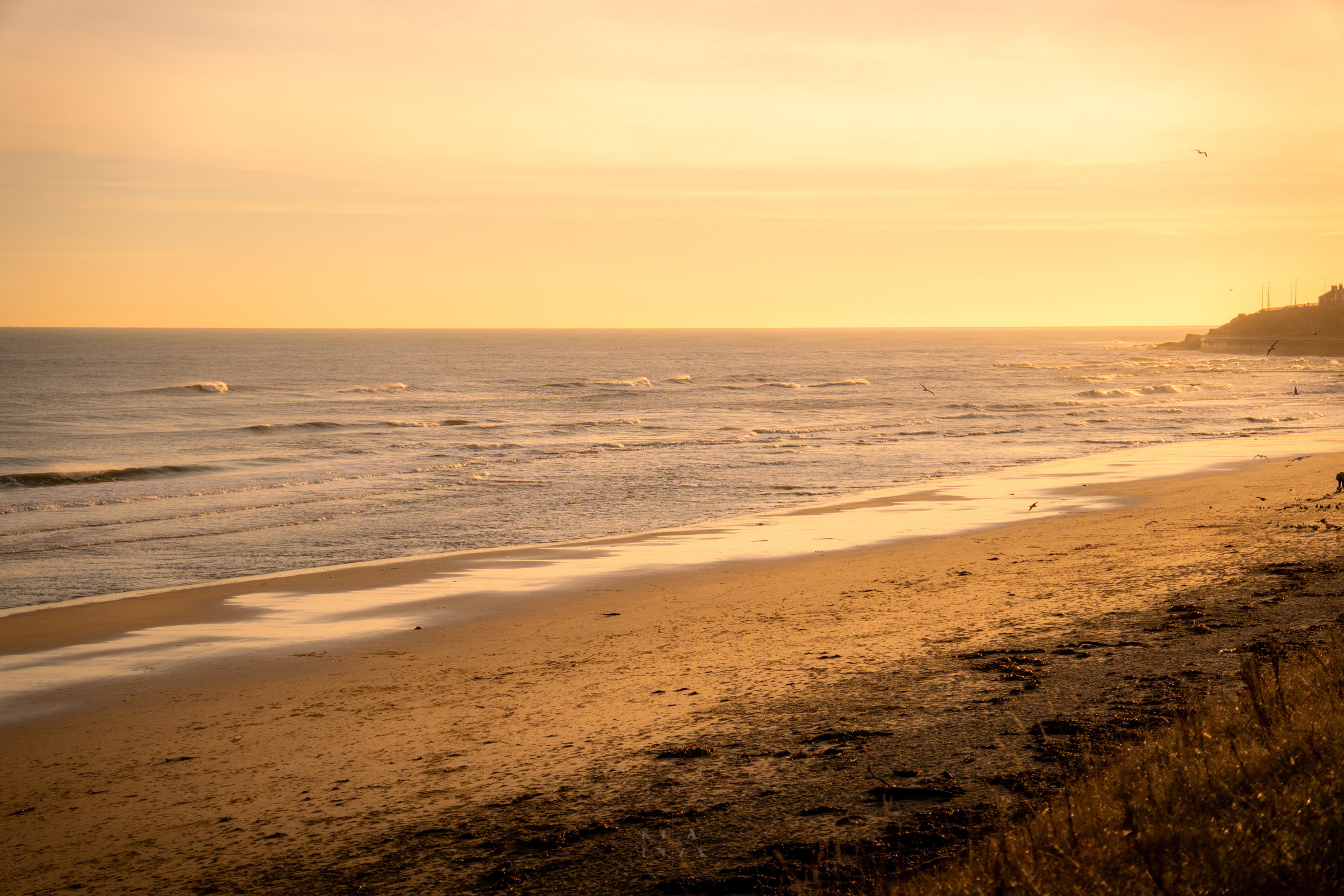 Property image 29 for SC1148315