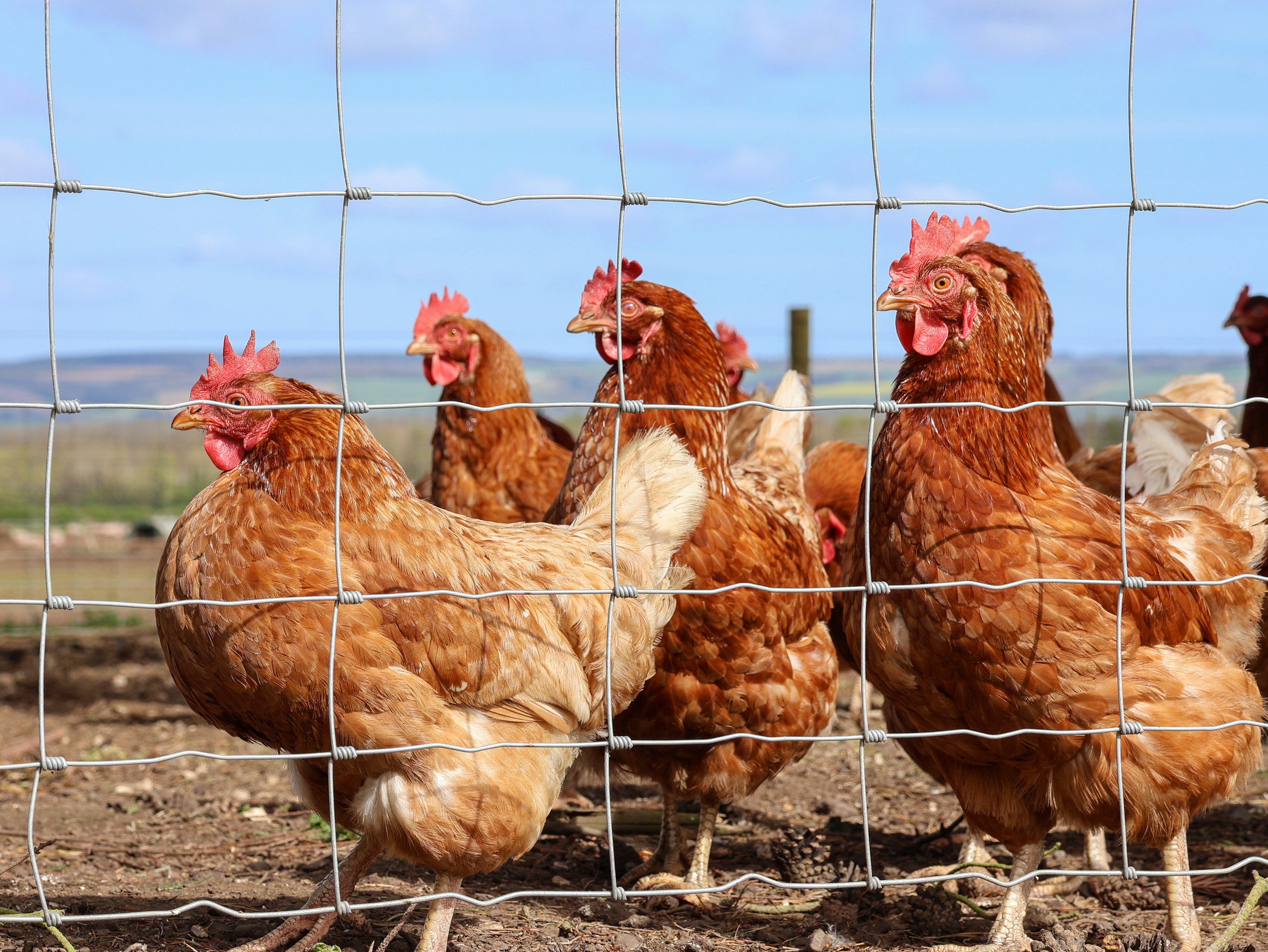 Property image 20 for SC1148580