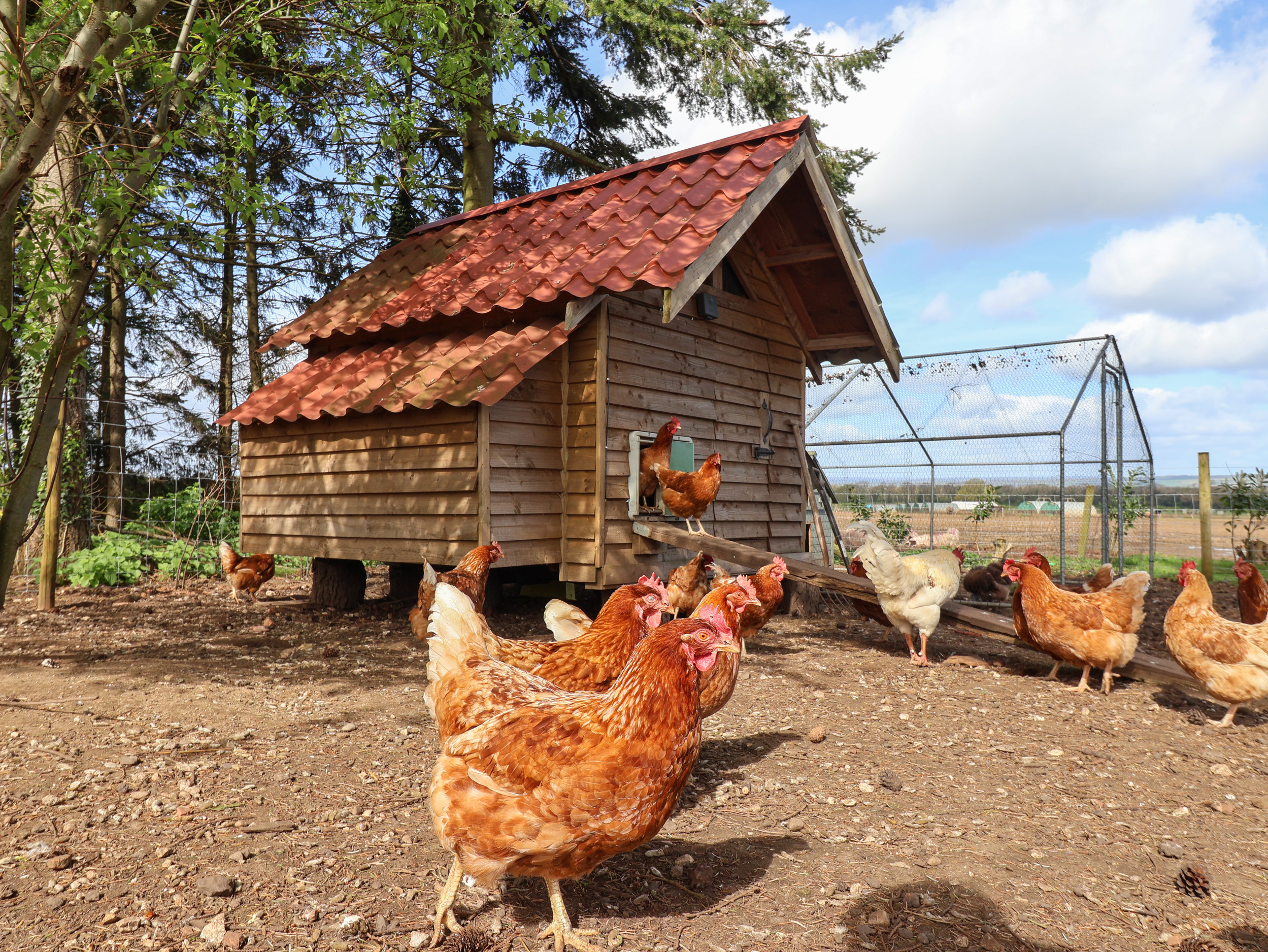 Property image 21 for SC1148580