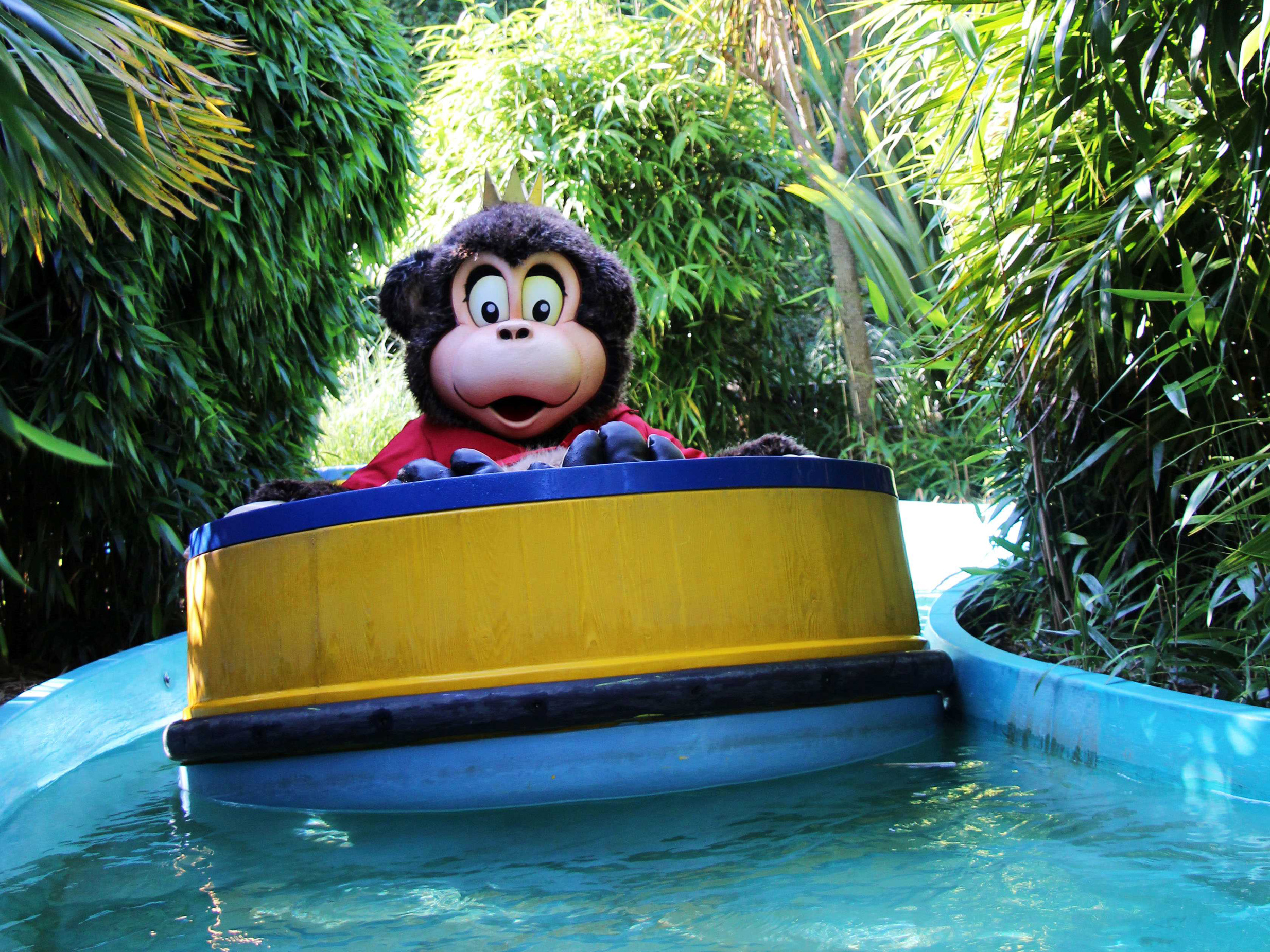 Property image 25 for SC1148868