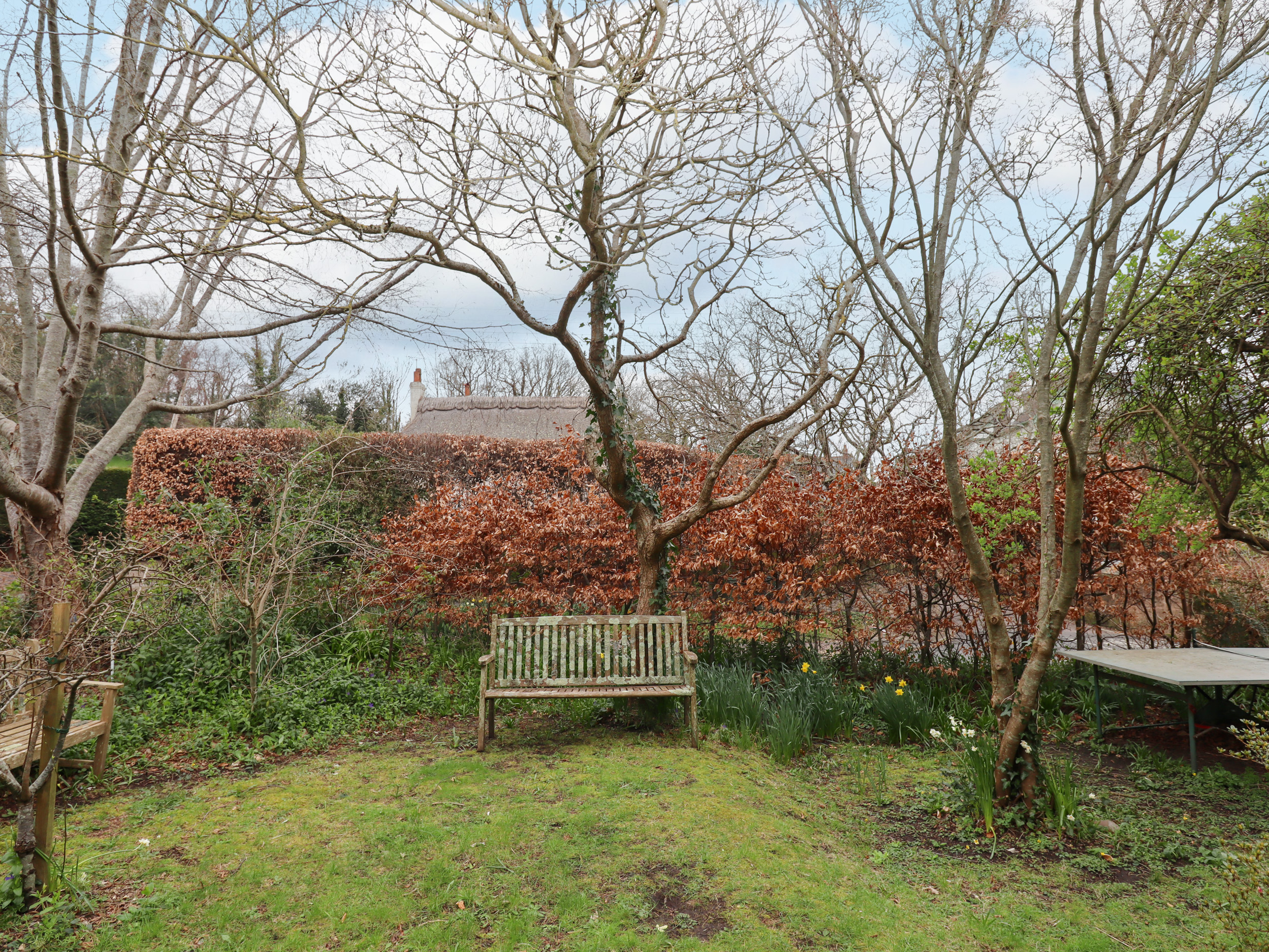 Property image 30 for SC1149157