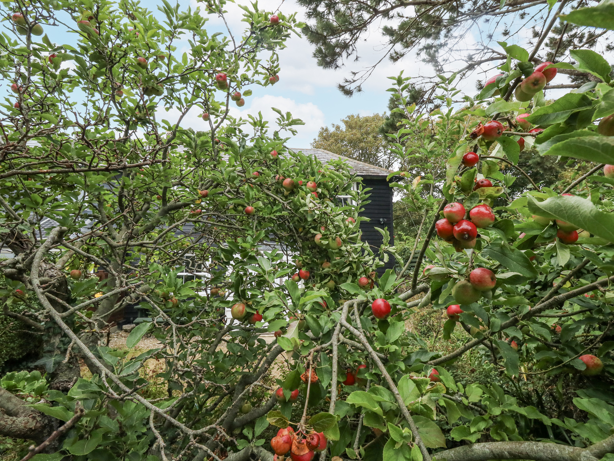 Property image 27 for SC1149628