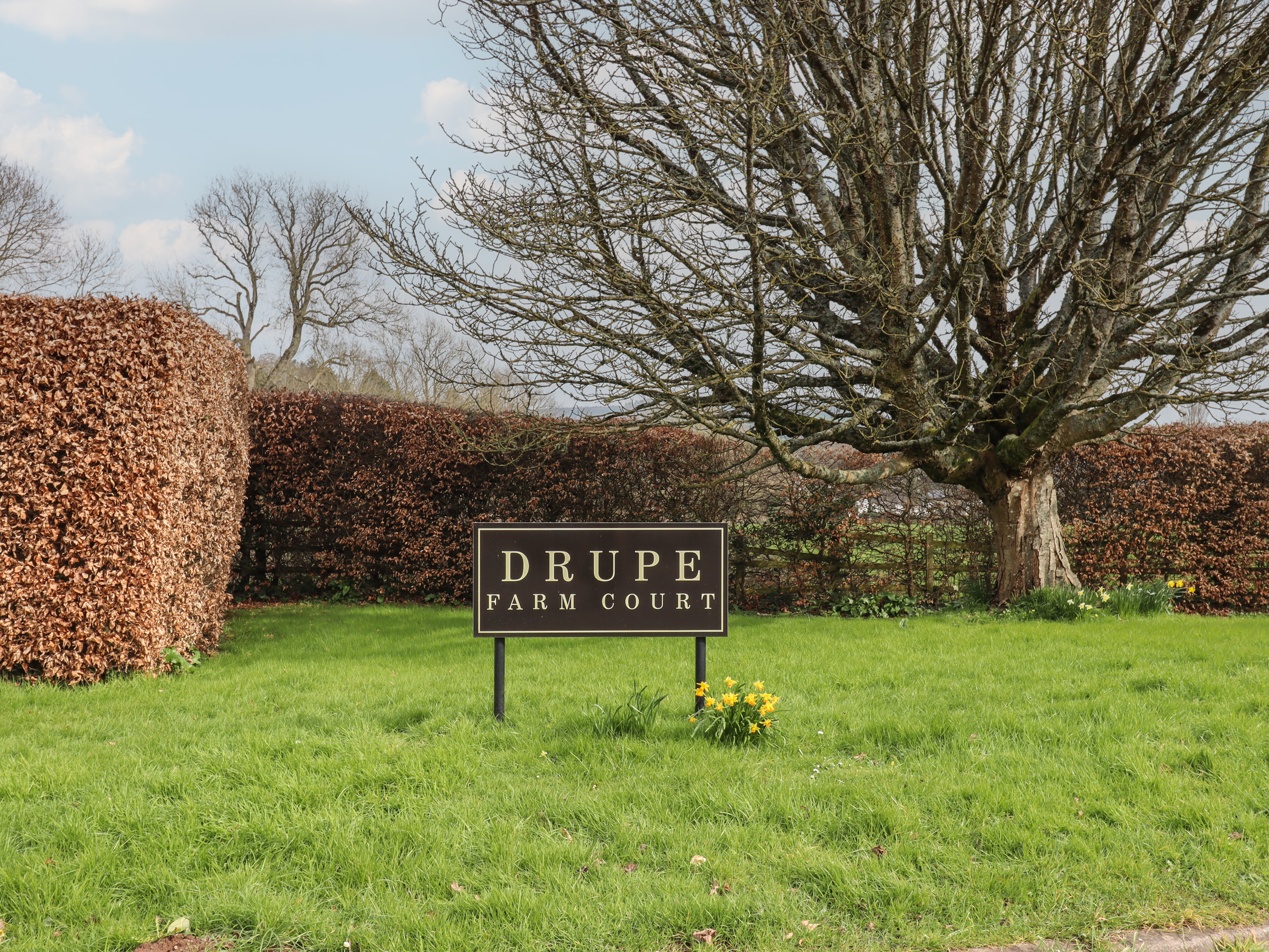 Property image 23 for SC1149642