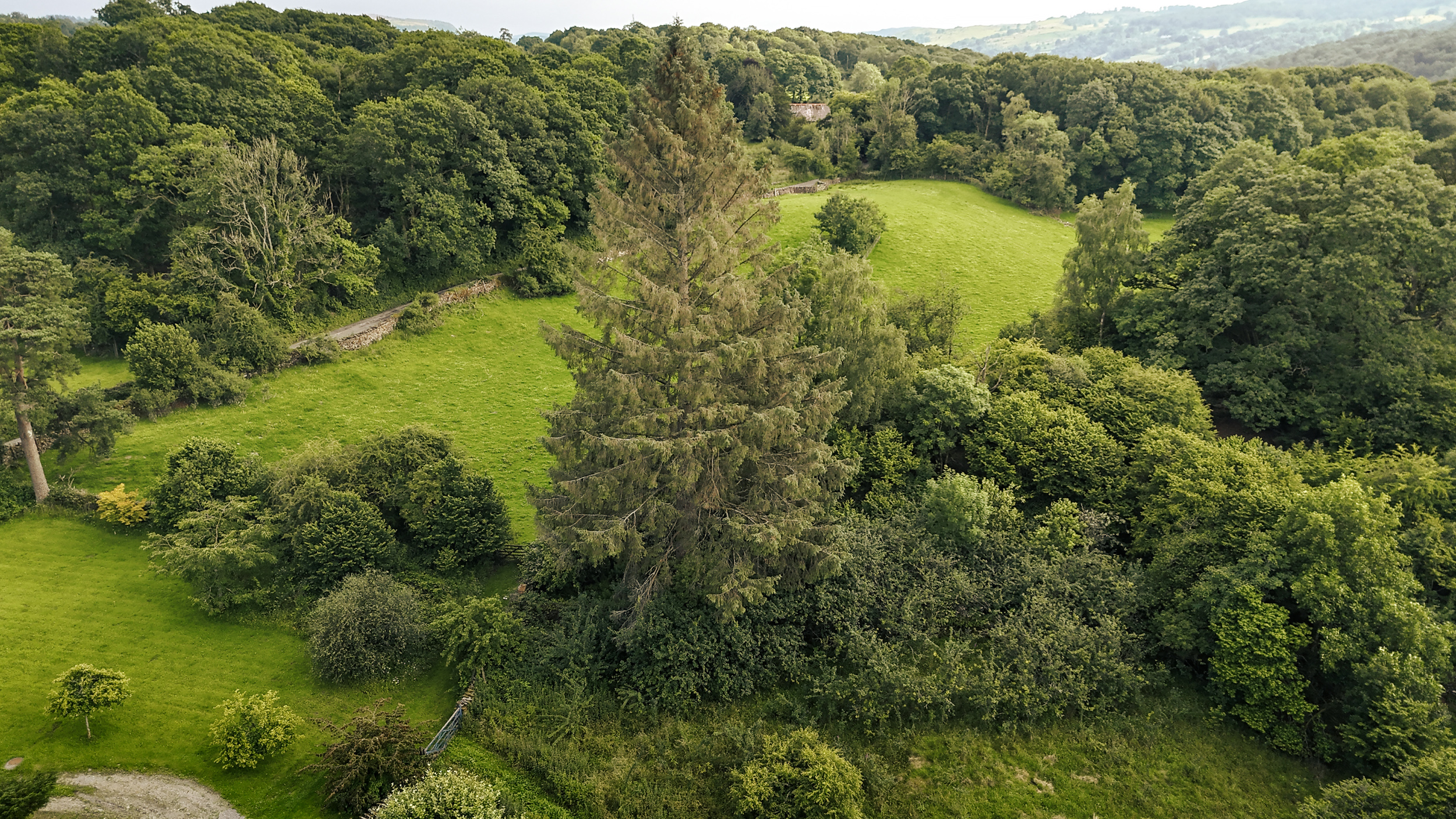 Property image 64 for SC1151089