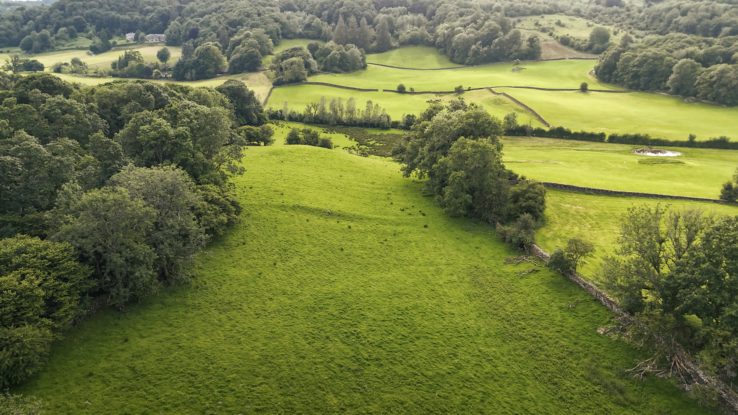 Property image 65 for SC1151089