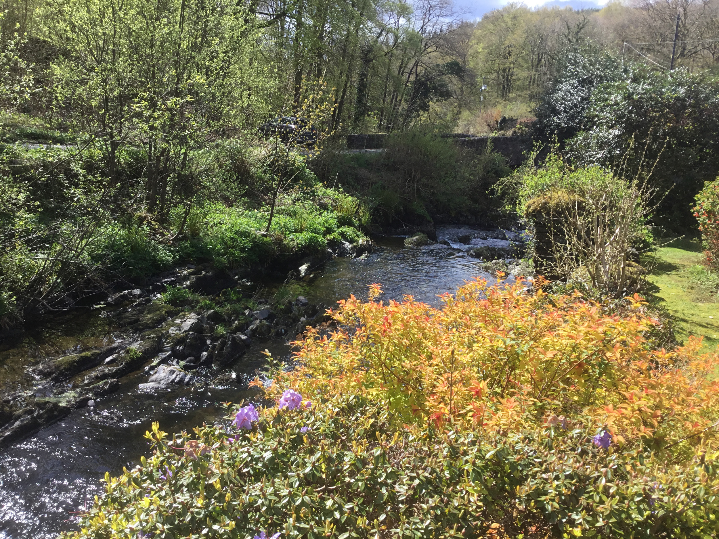 Property image 29 for SC1151427