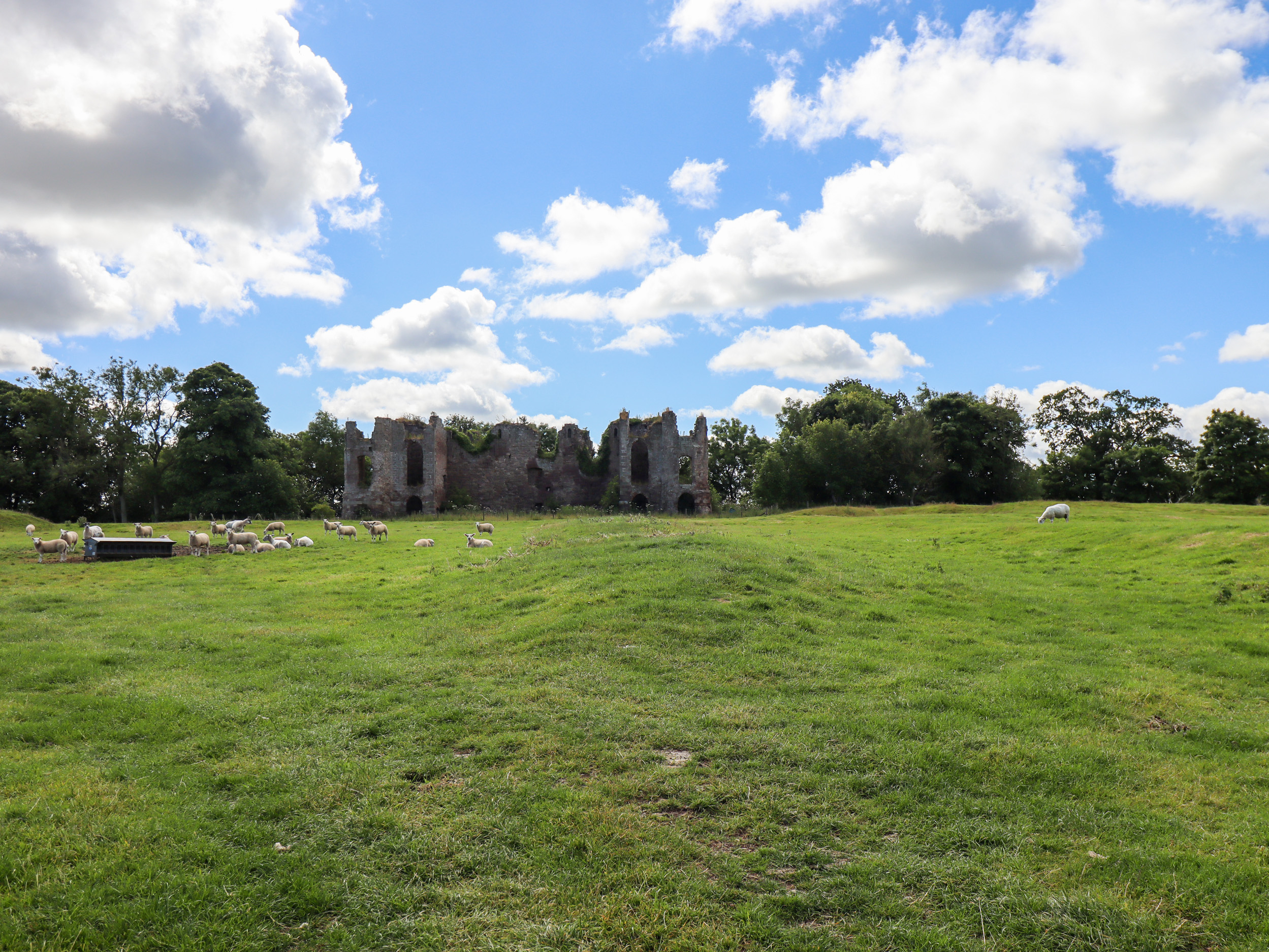 Property image 17 for SC1151481