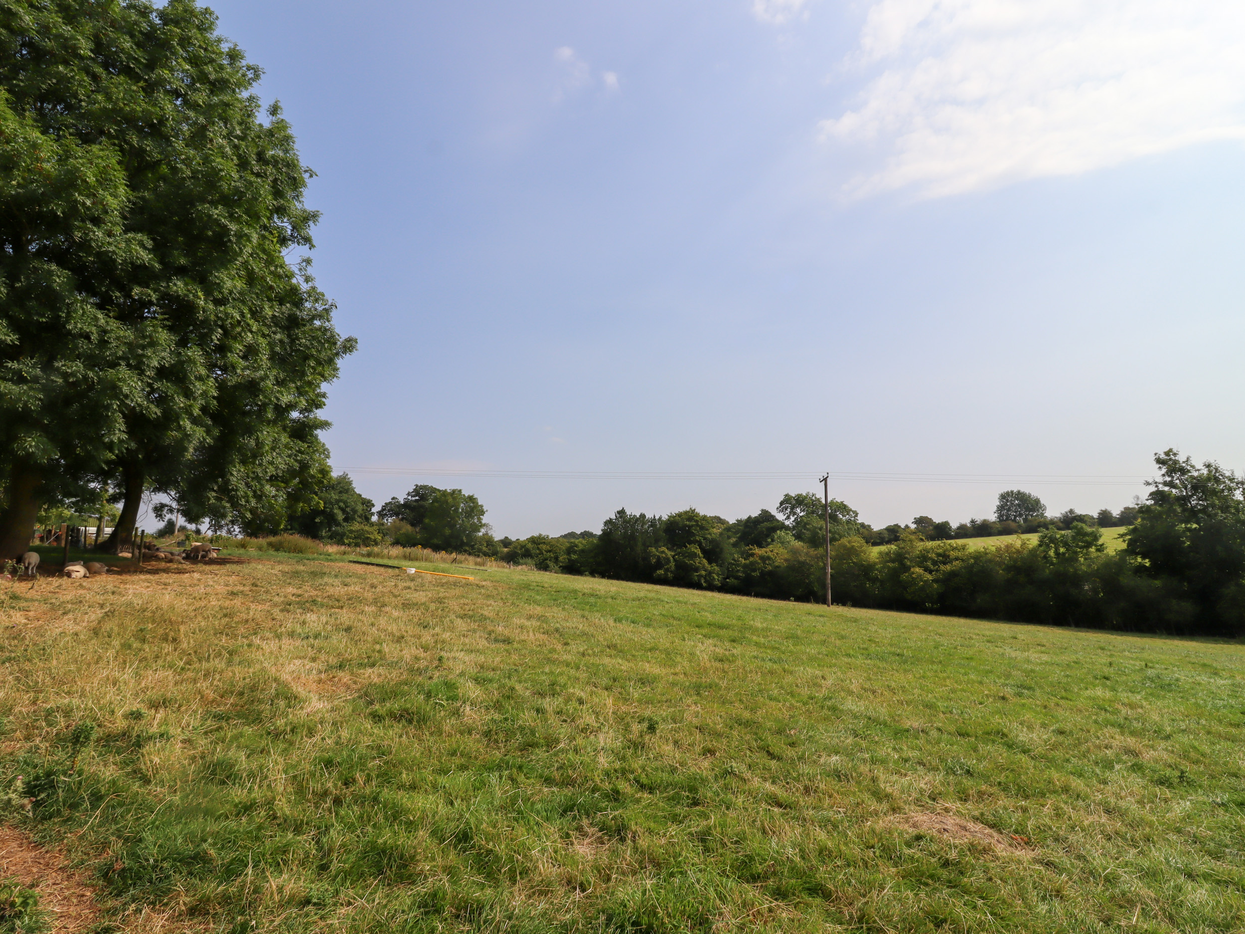 Property image 30 for SC1151563