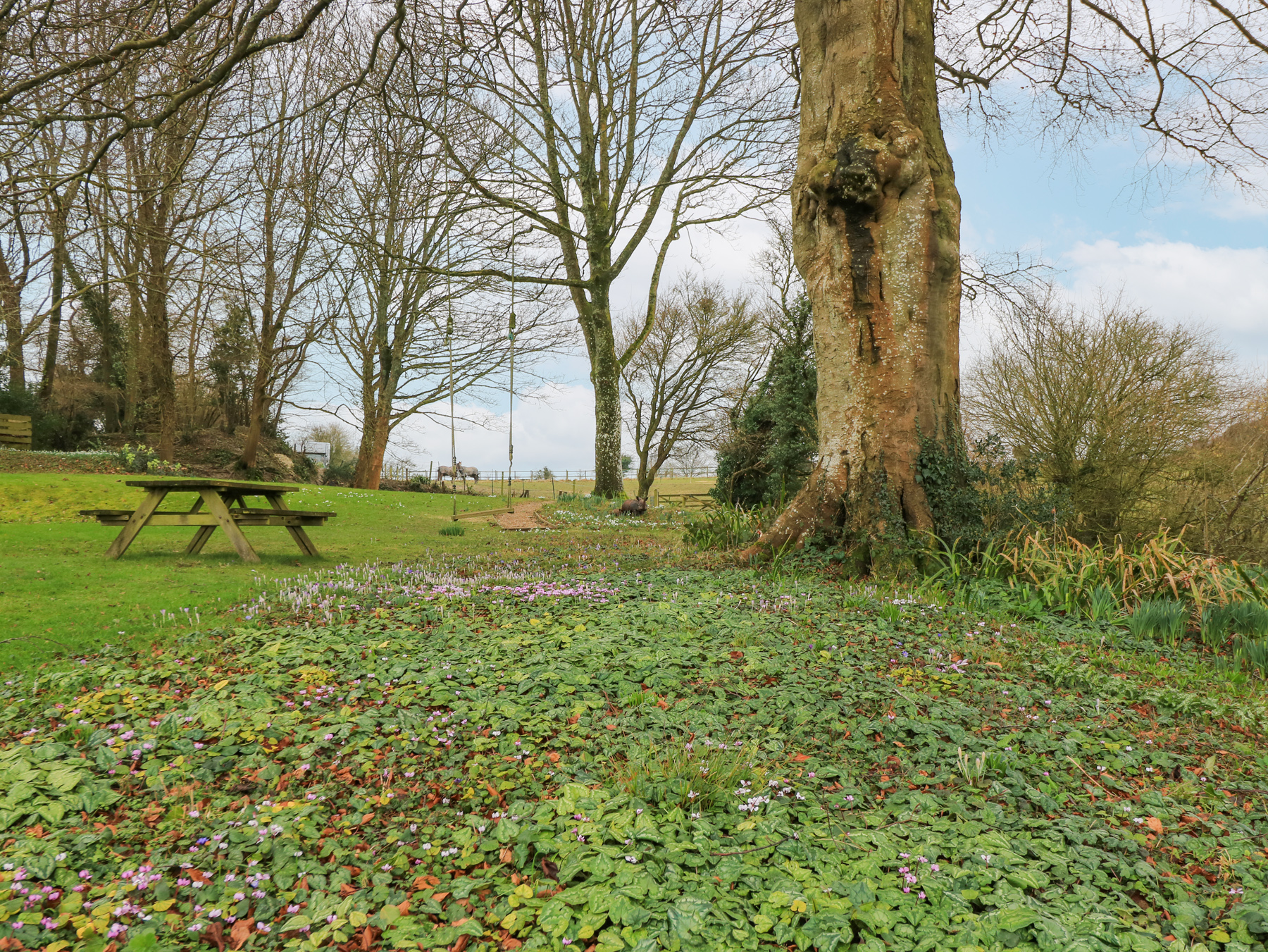 Property image 22 for SC1151770