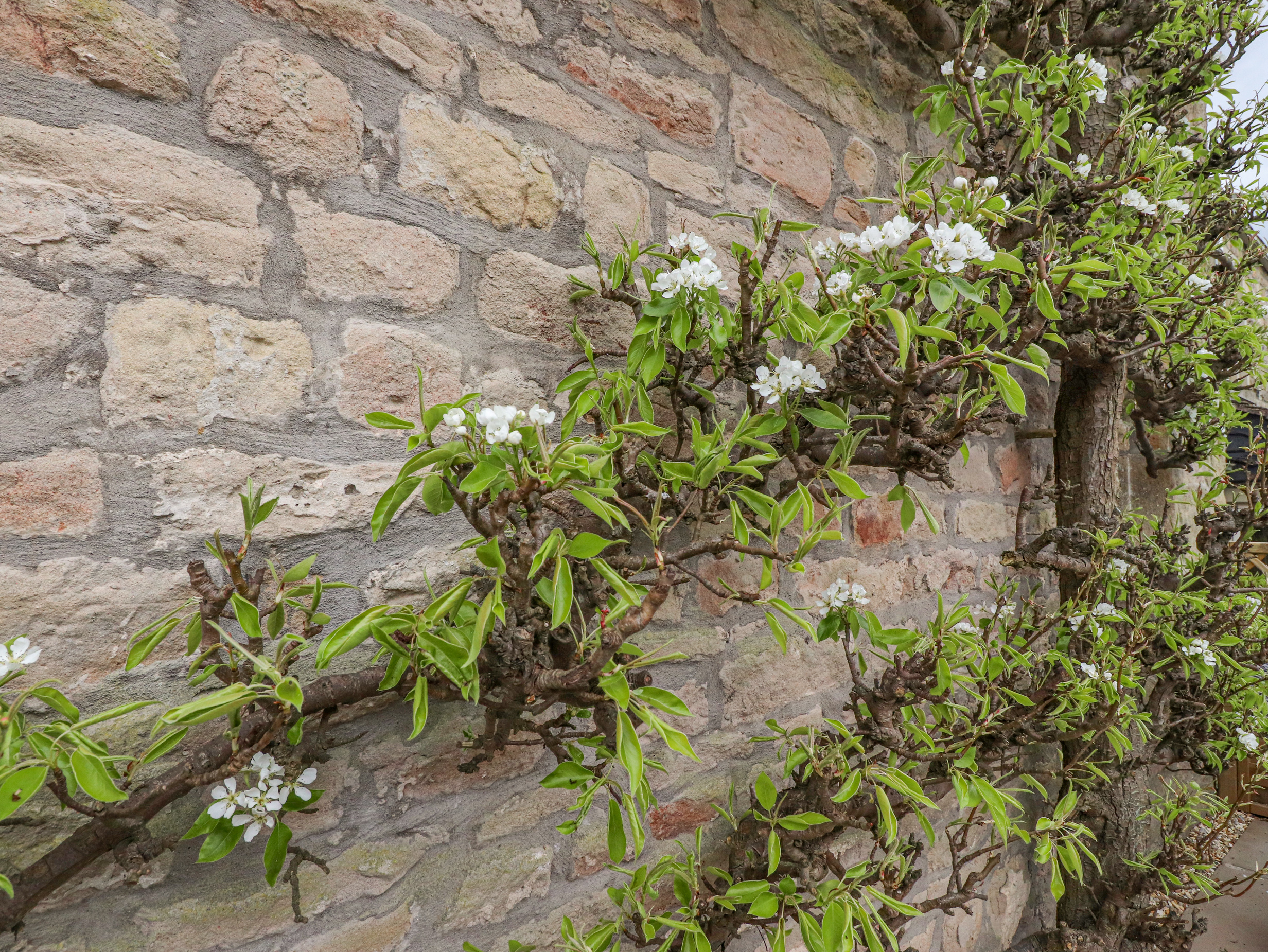 Property image 27 for SC1152208