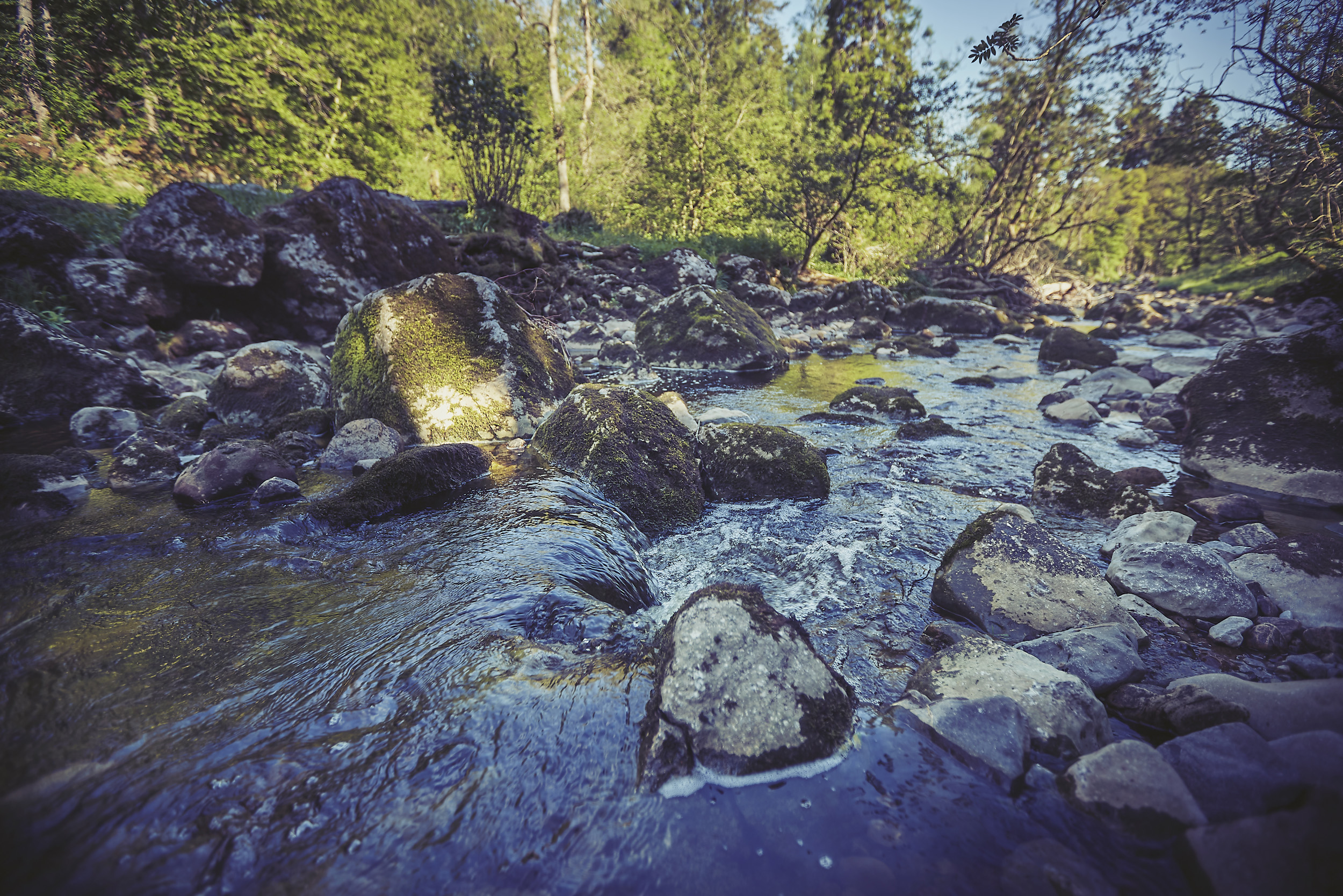 Property image 31 for SC1152290