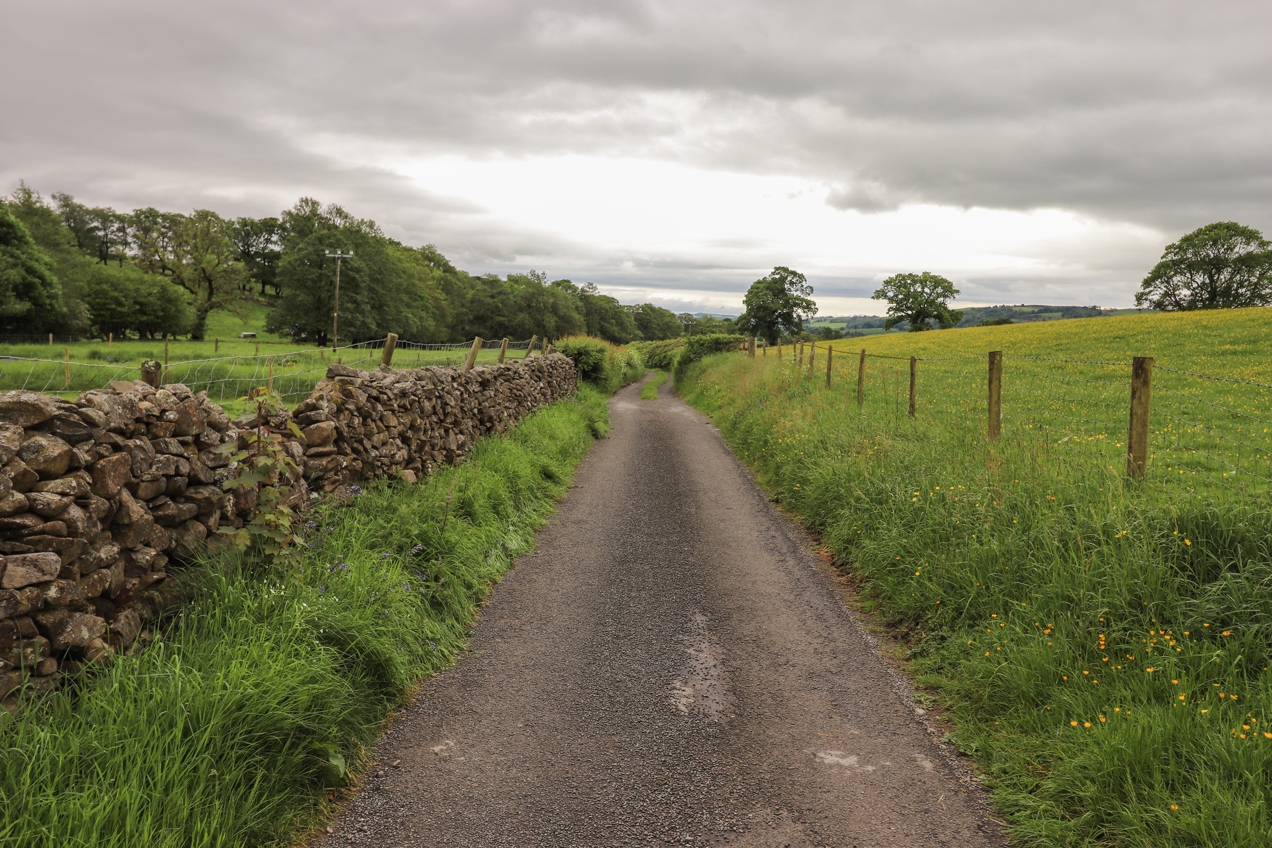 Property image 60 for SC1152360