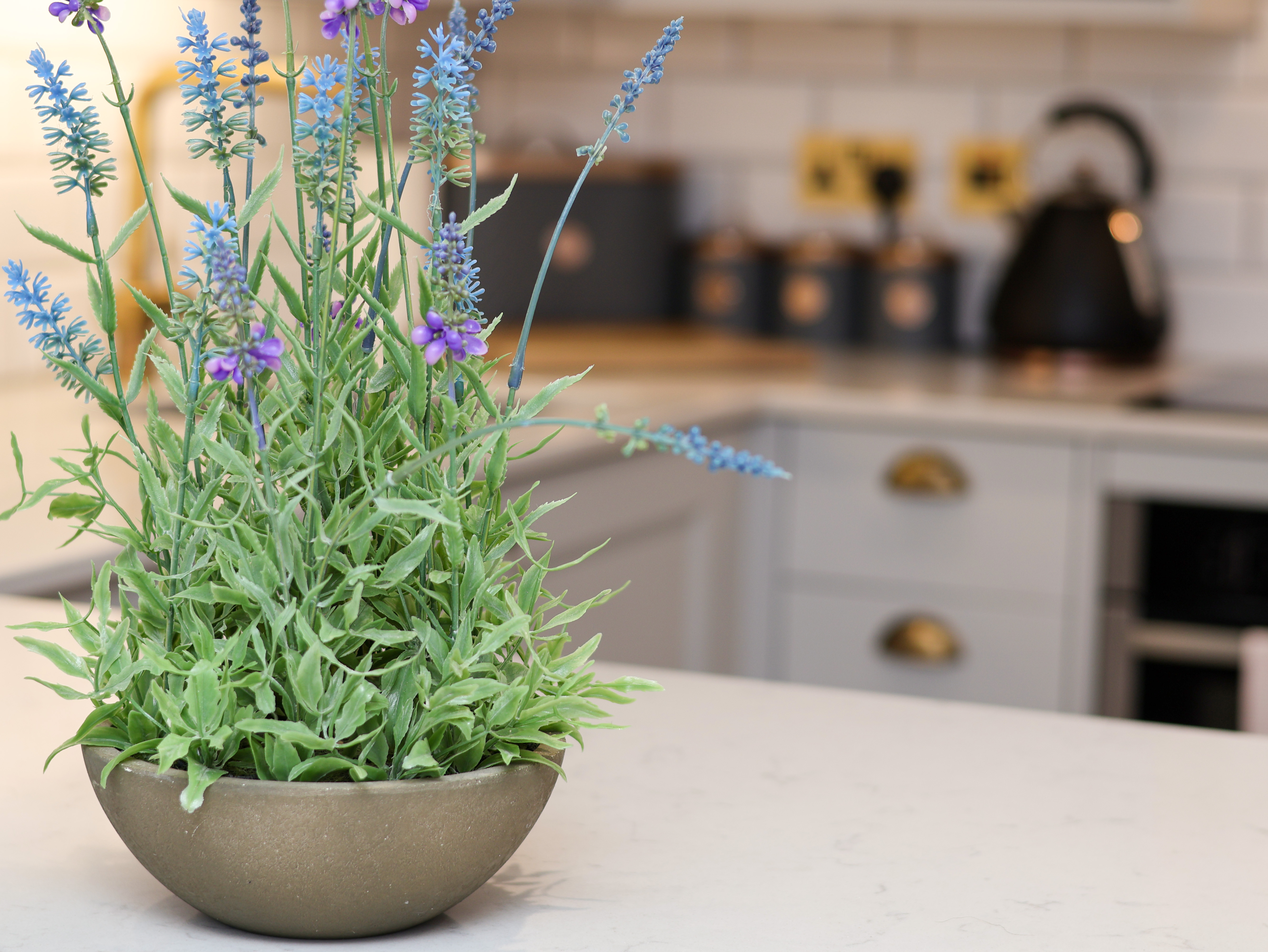 Property image 28 for SC1152388