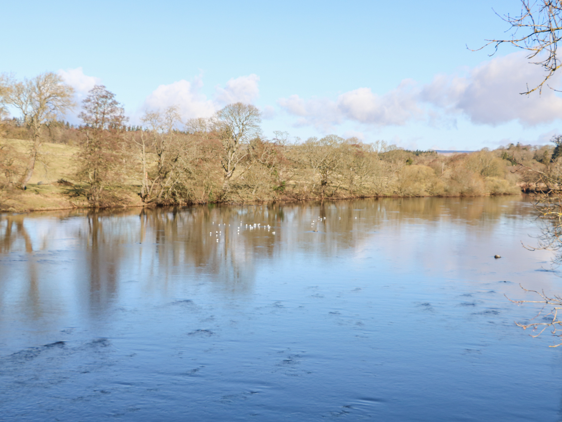 Property image 57 for SC1152443