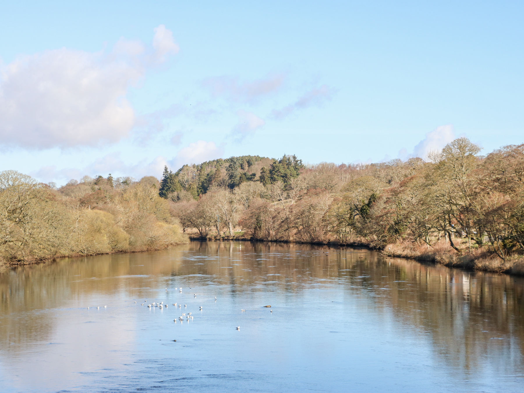 Property image 58 for SC1152443