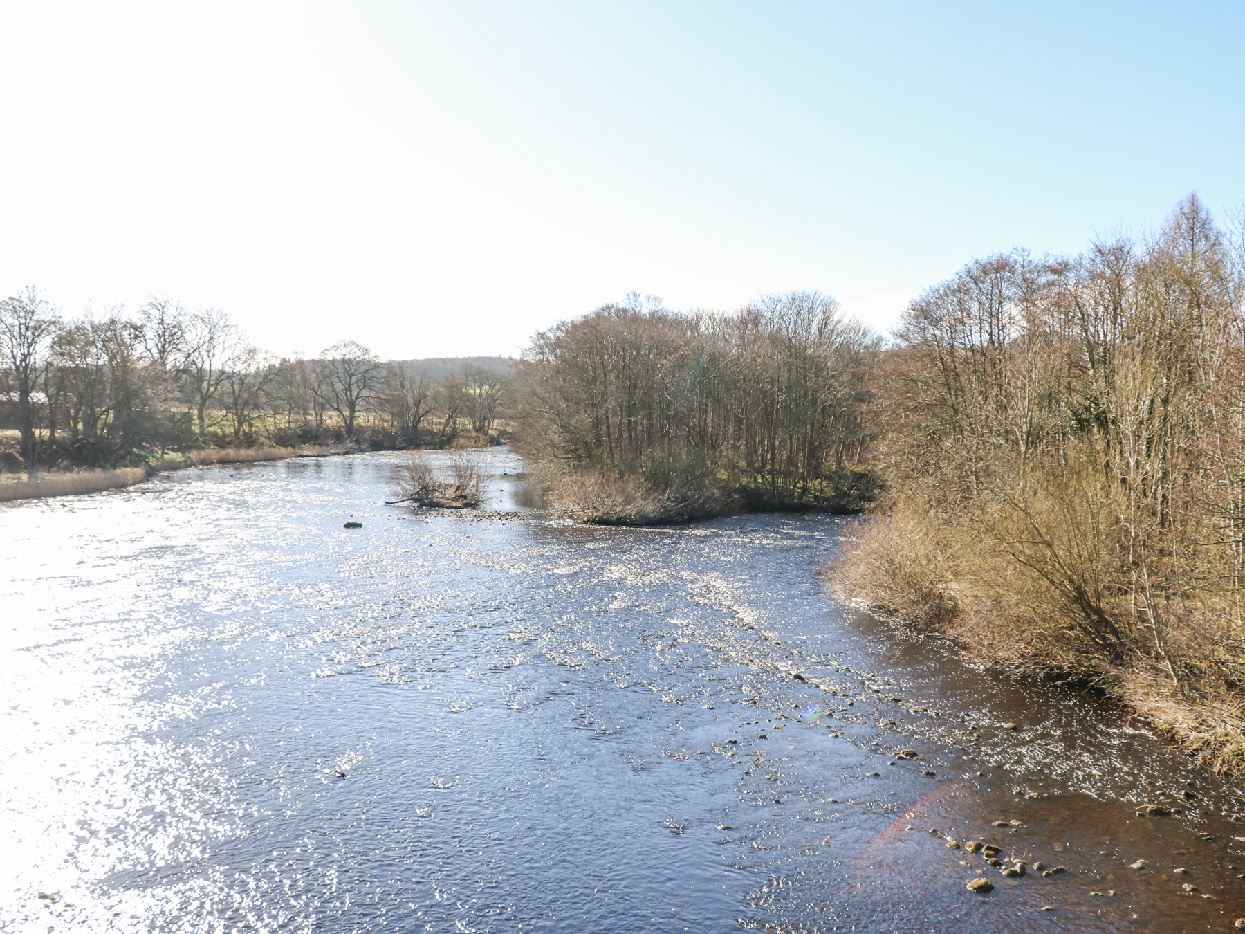 Property image 59 for SC1152443