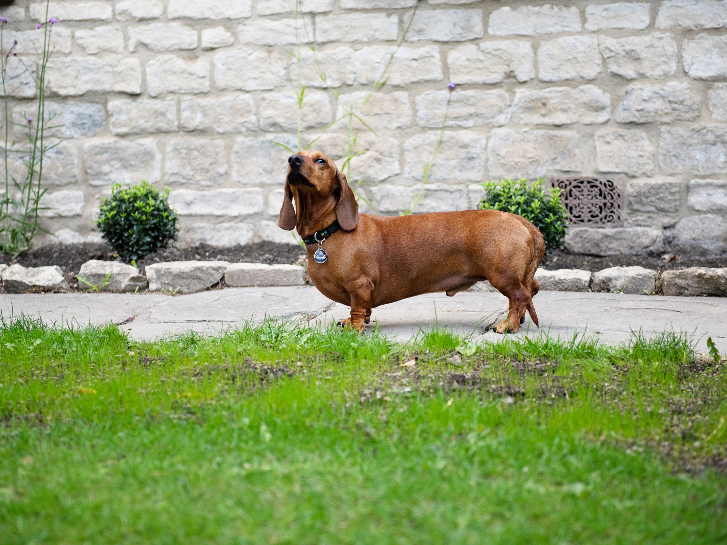 Property image 39 for SC1152472