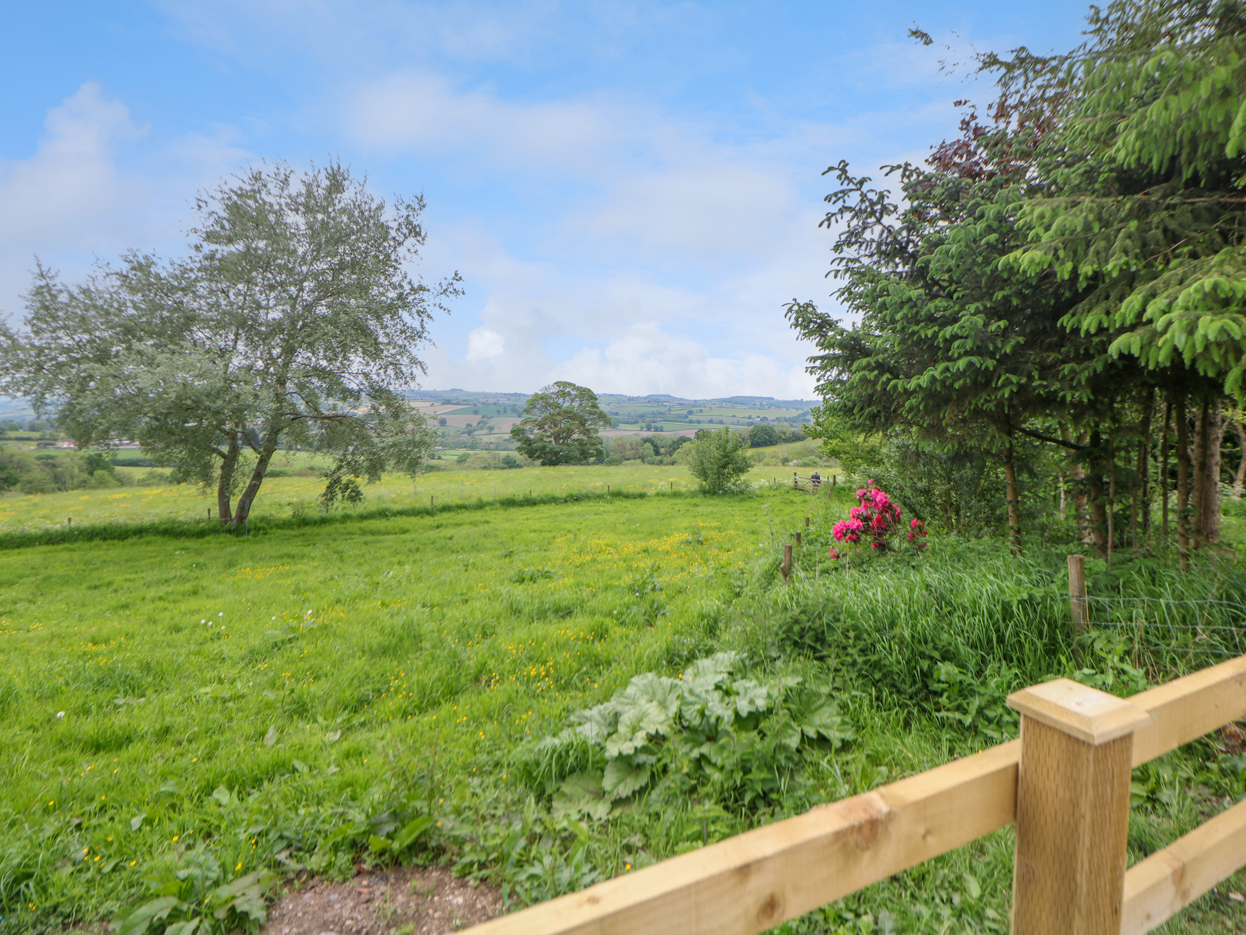 Property image 17 for SC1152568