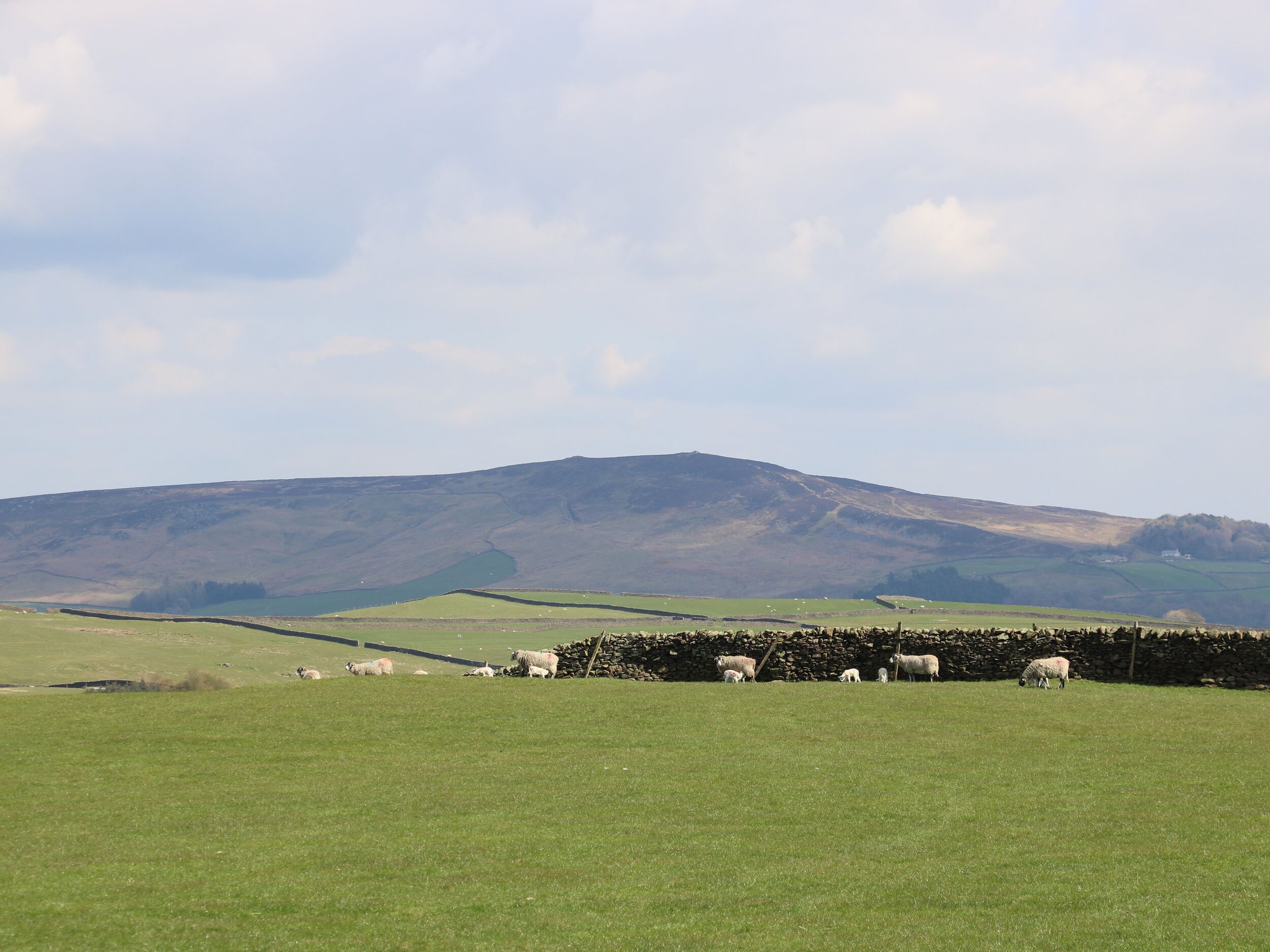 Property image 24 for SC1152813