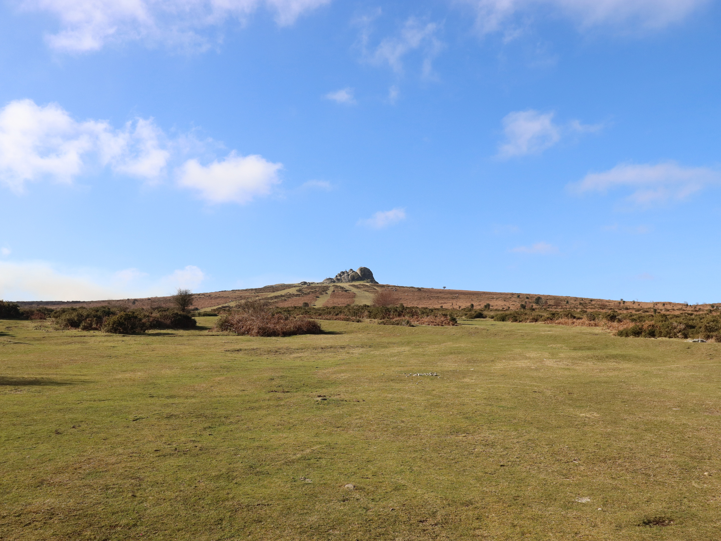 Property image 29 for SC1152901