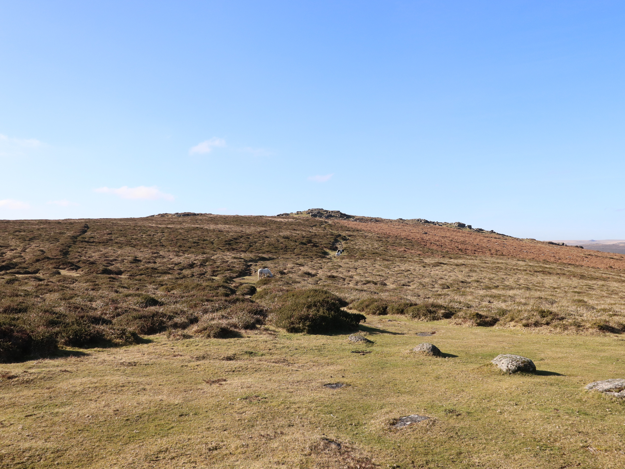 Property image 31 for SC1152901