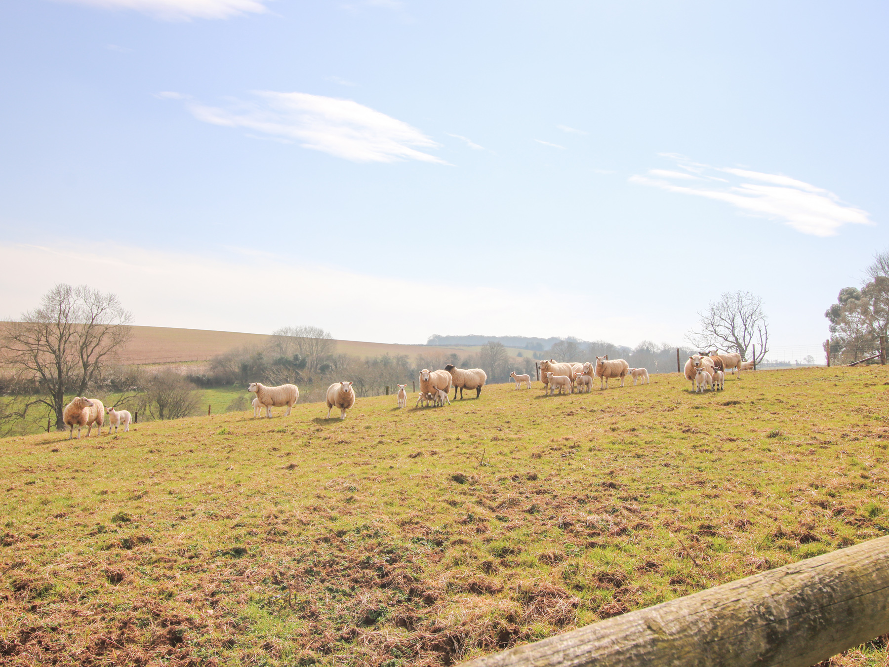 Property image 53 for SC1152915