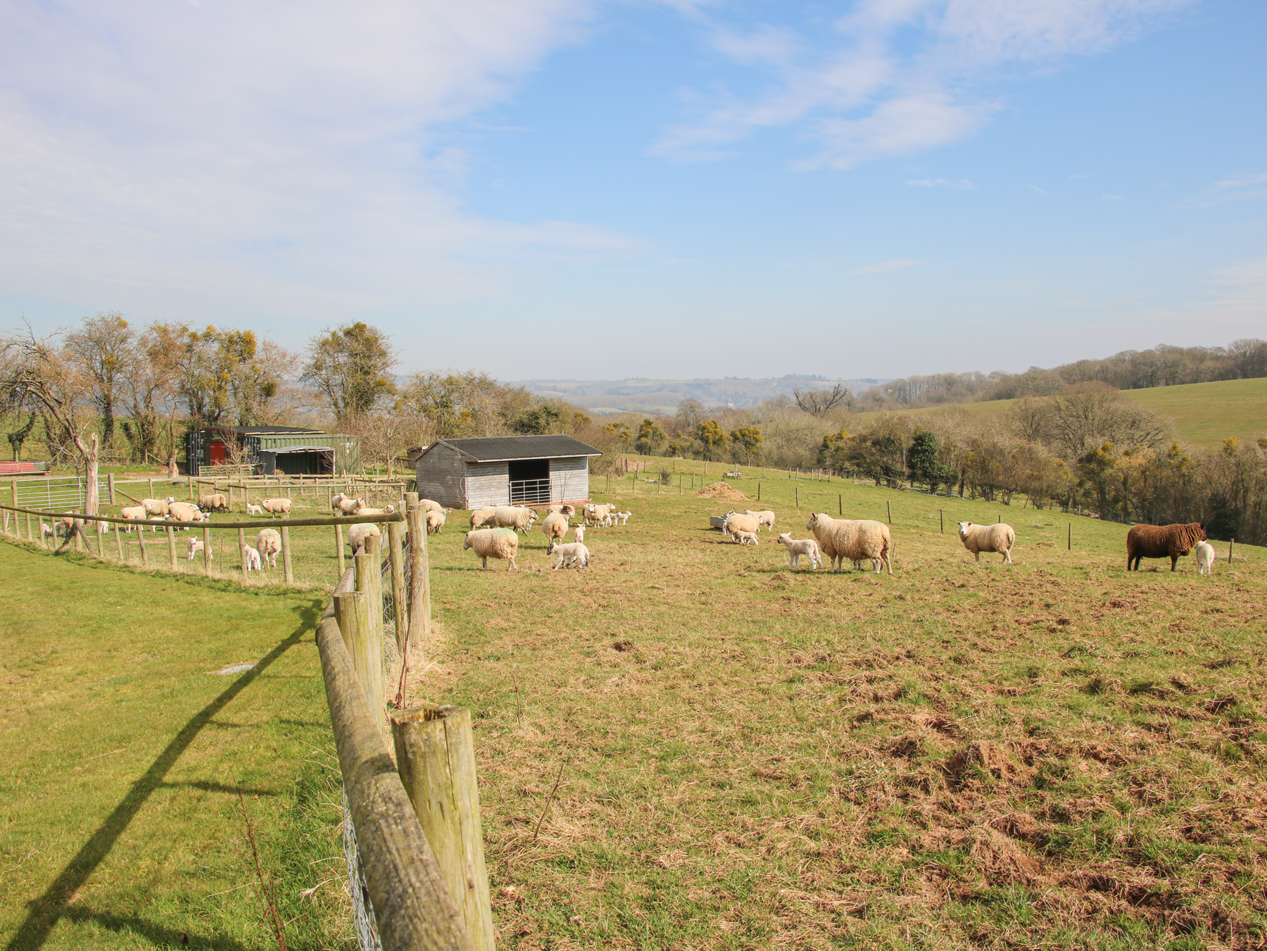 Property image 54 for SC1152915