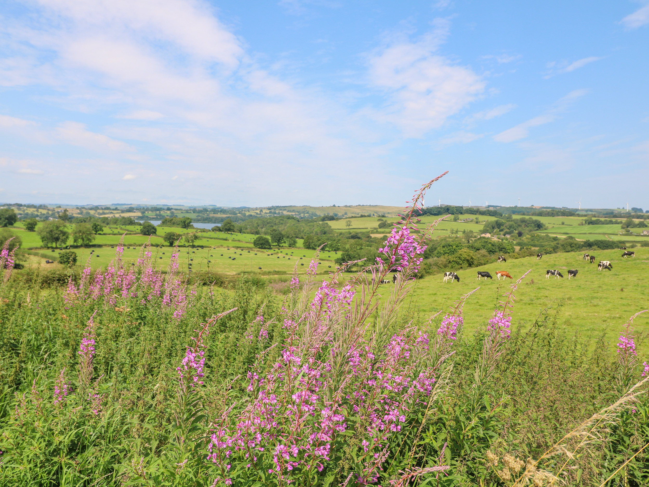 Property image 25 for SC1153043