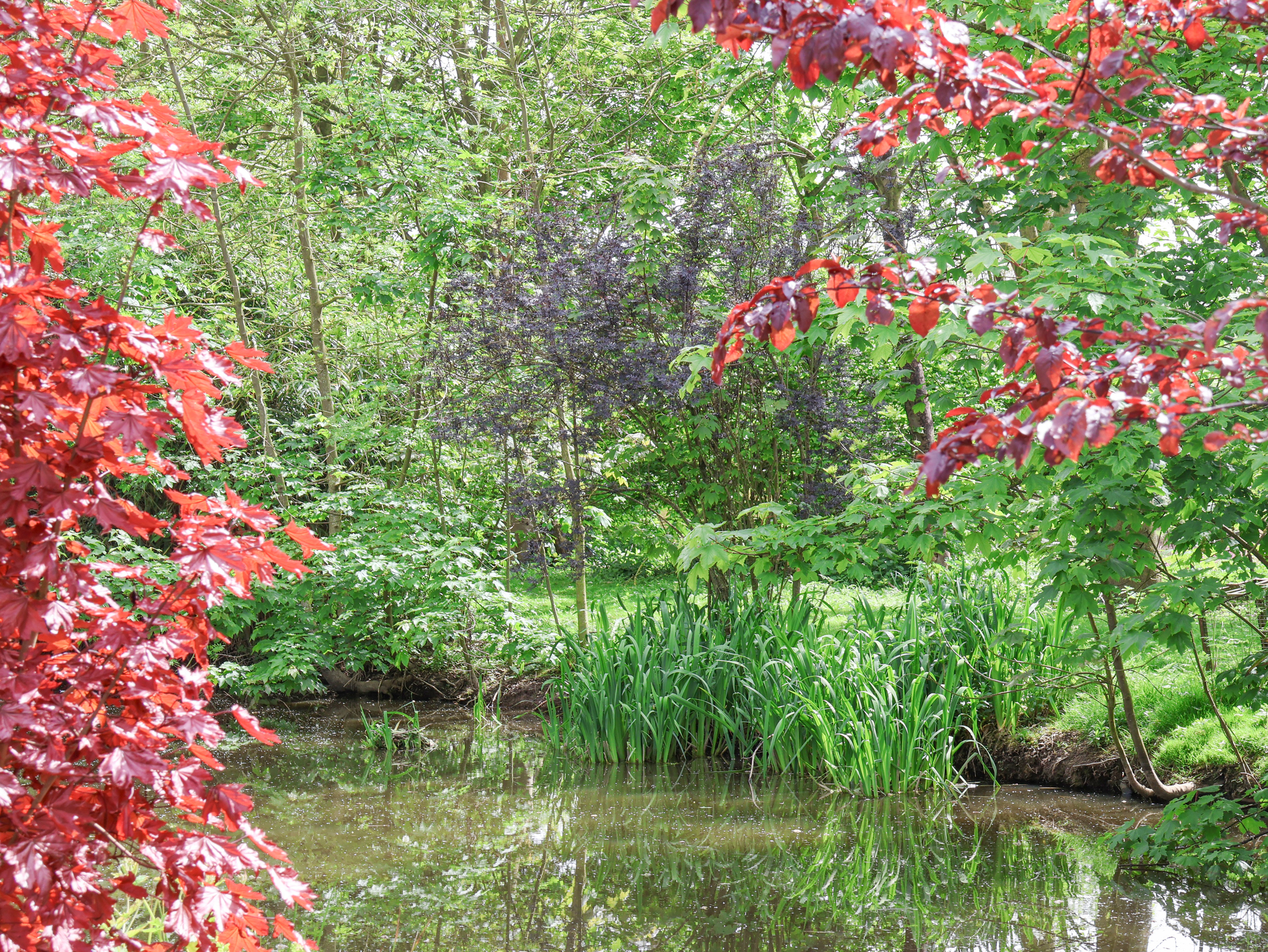 Property image 25 for SC1153117