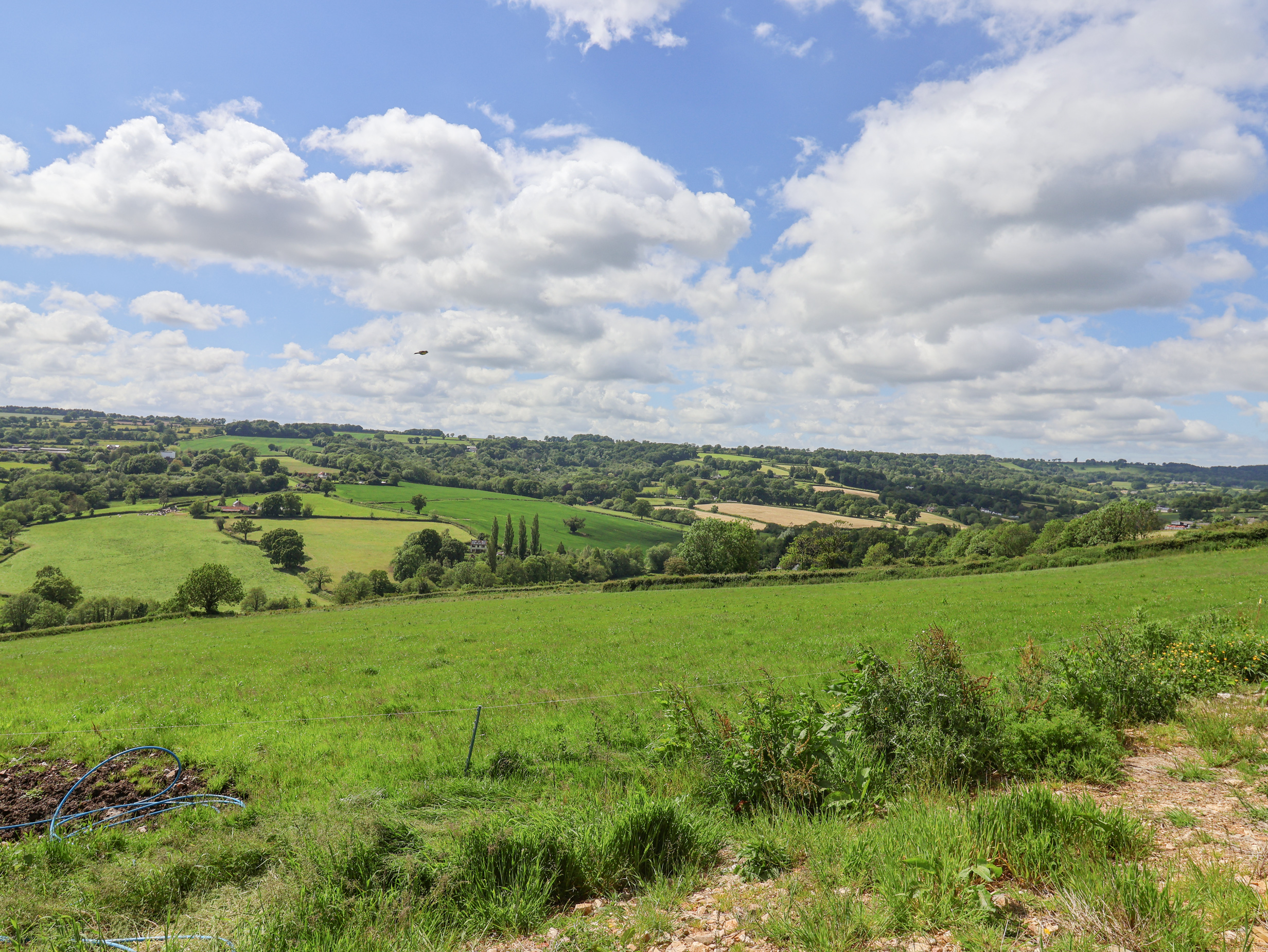 Property image 26 for SC1153557