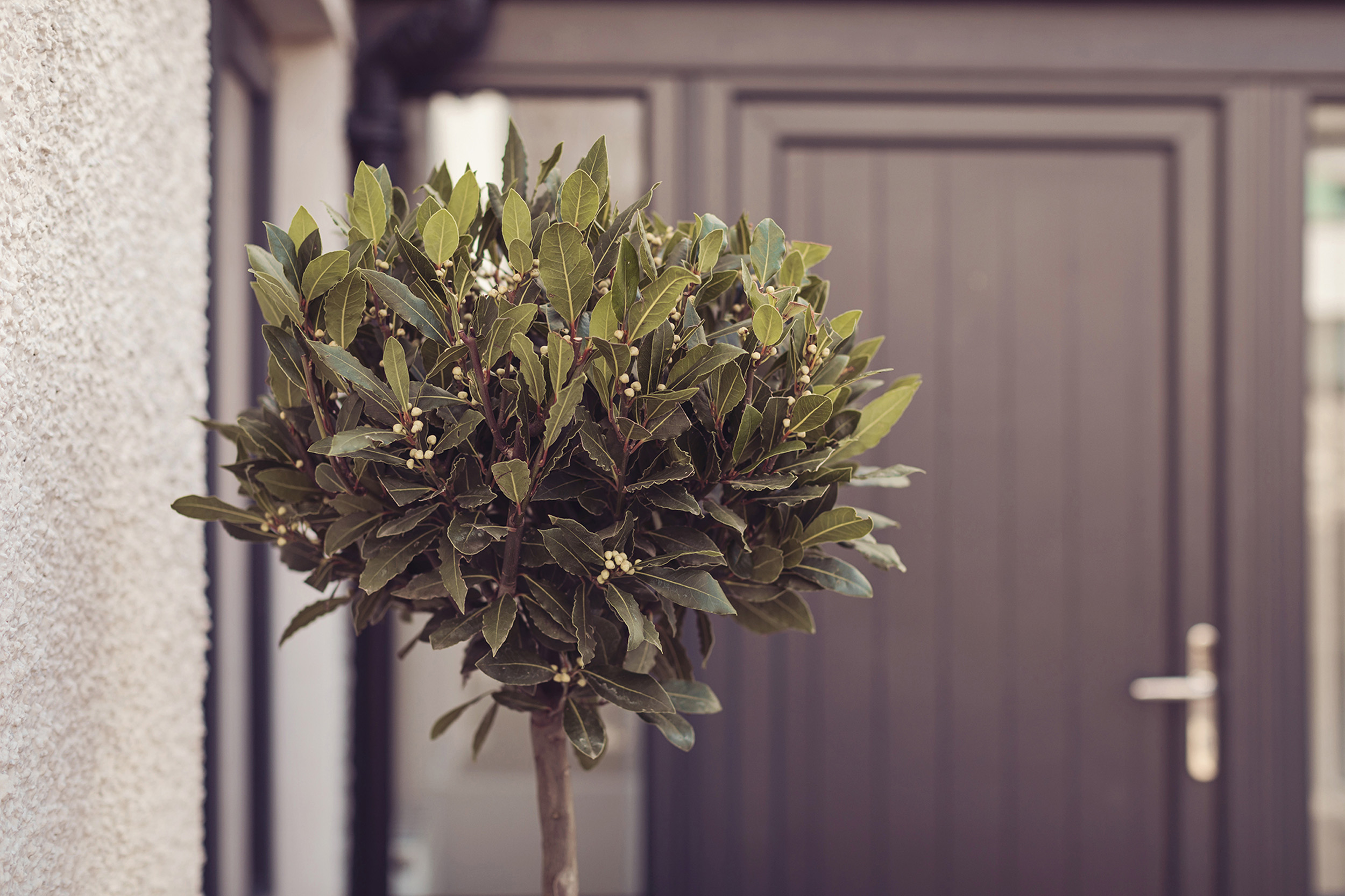 Property image 3 for SC1153898