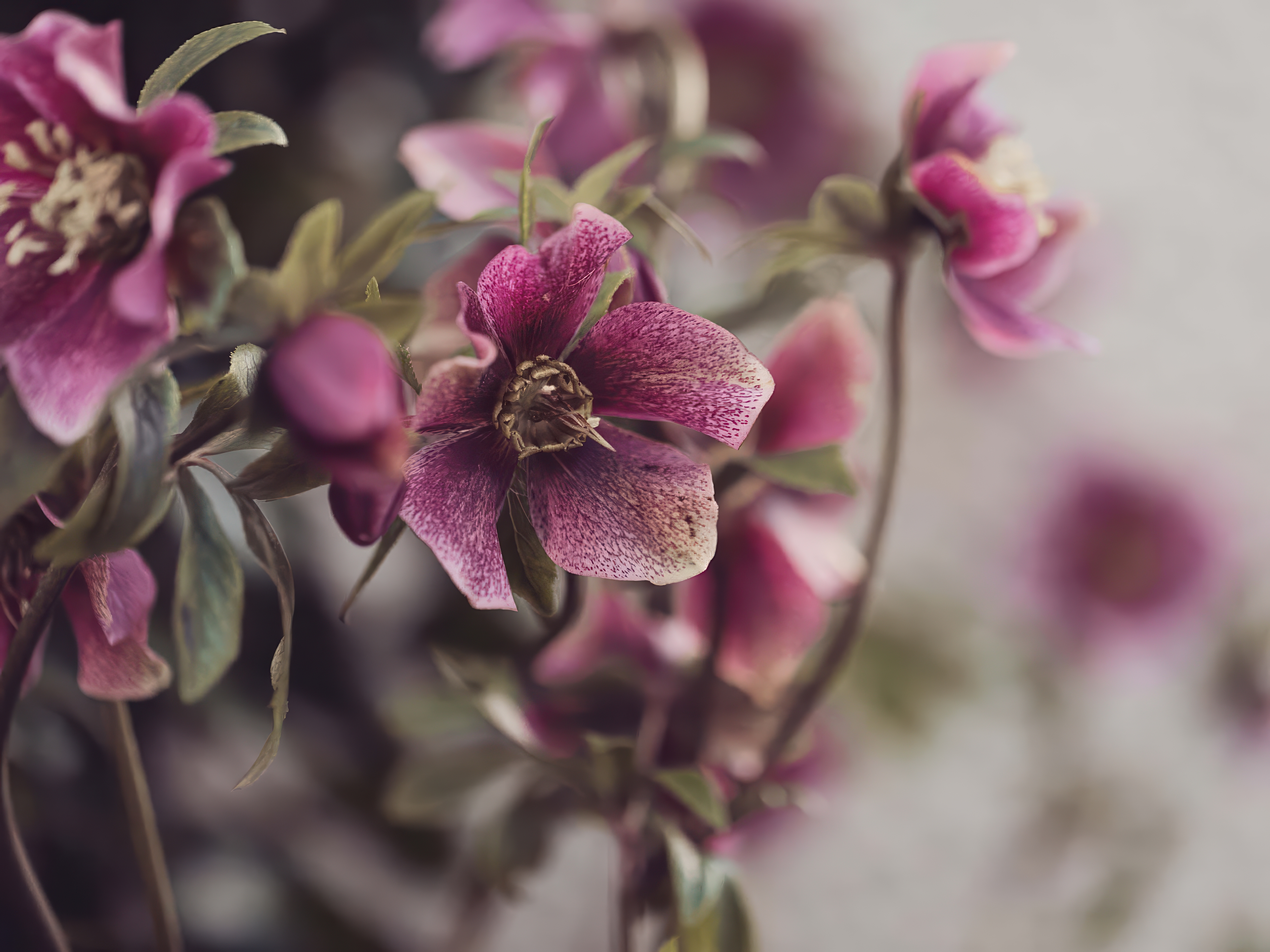 Property image 73 for SC1153898