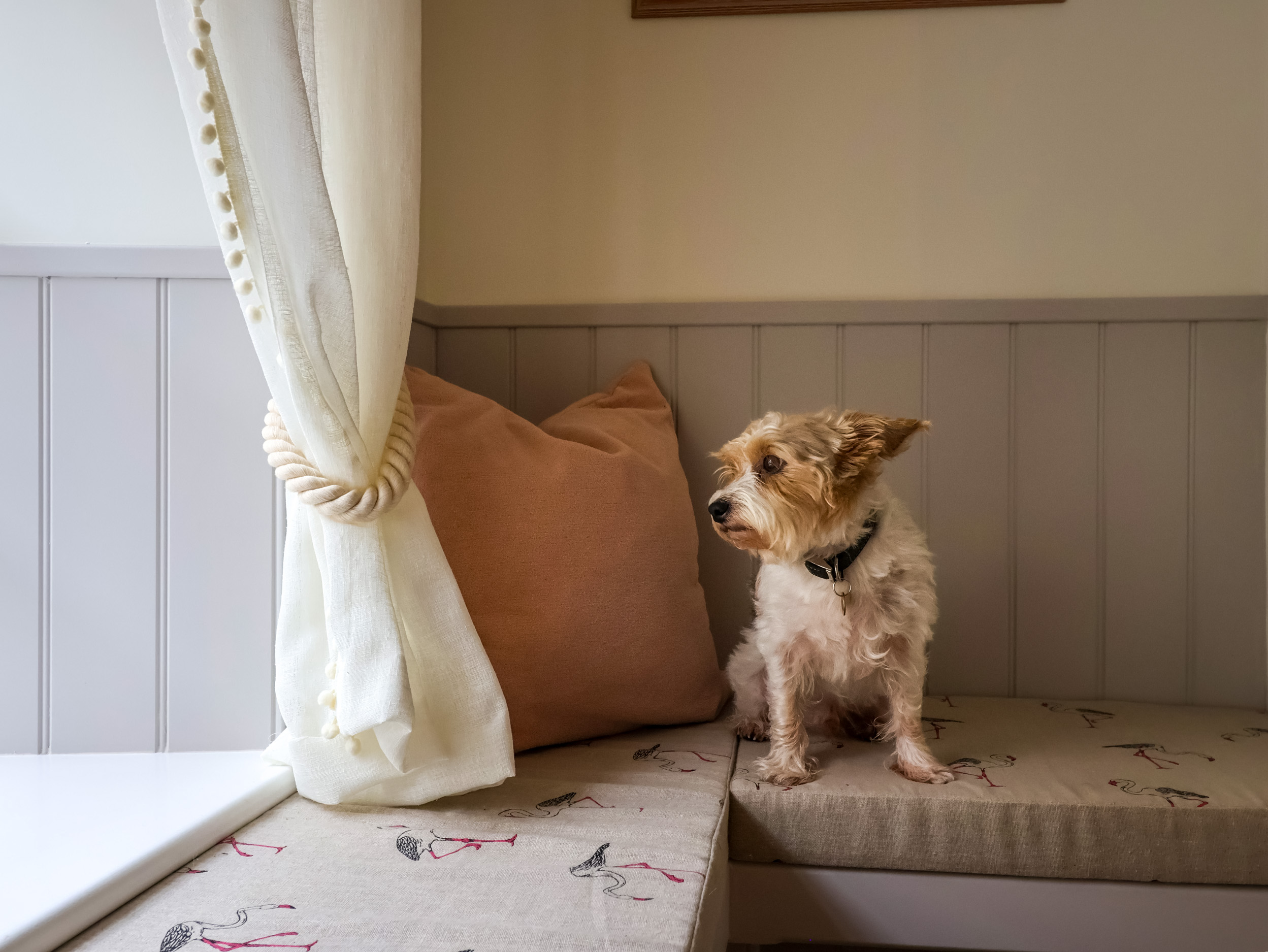 Property image 18 for SC1153912