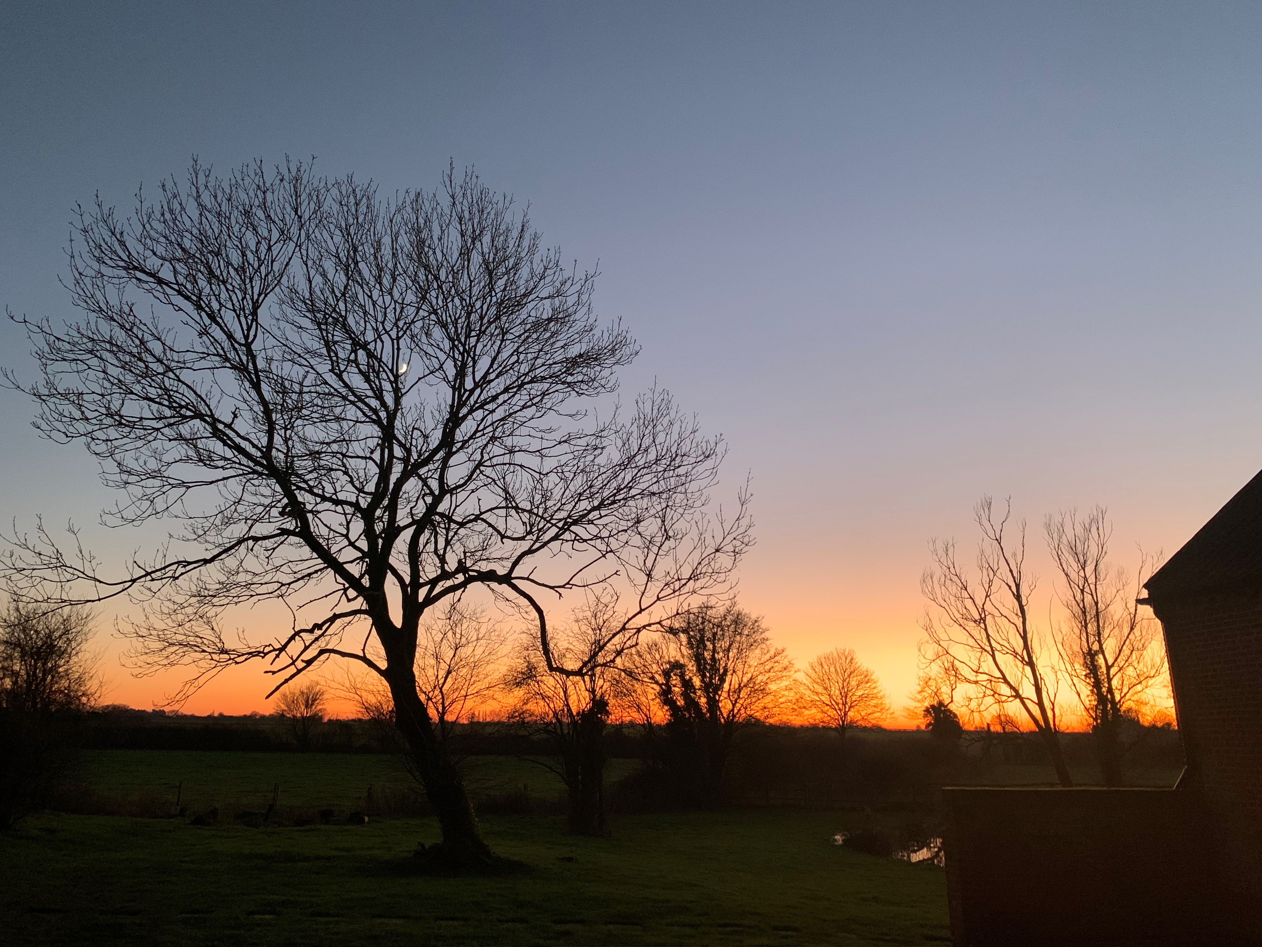 Property image 44 for SC1153933